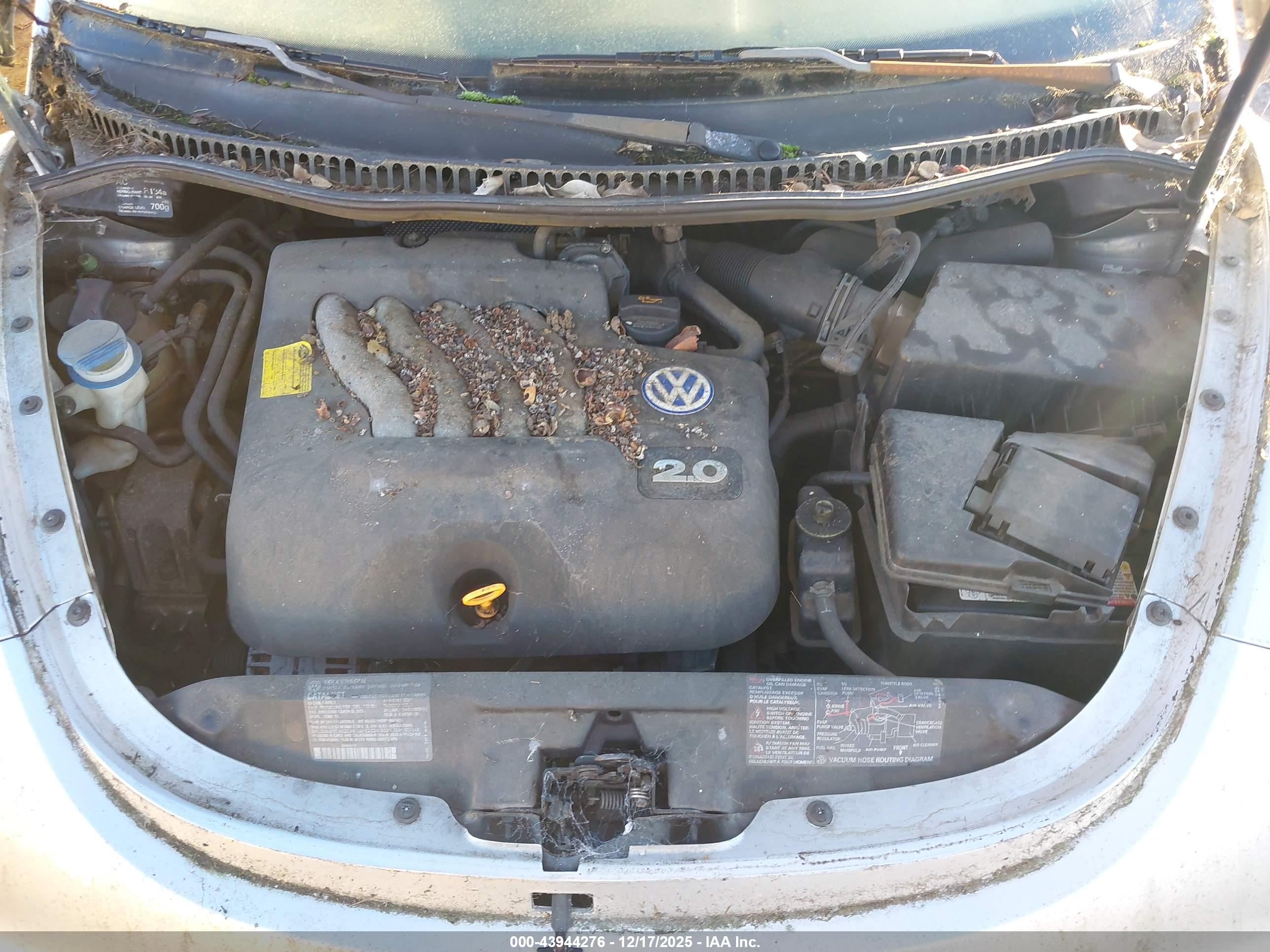 VOLKSWAGEN NEW image 10