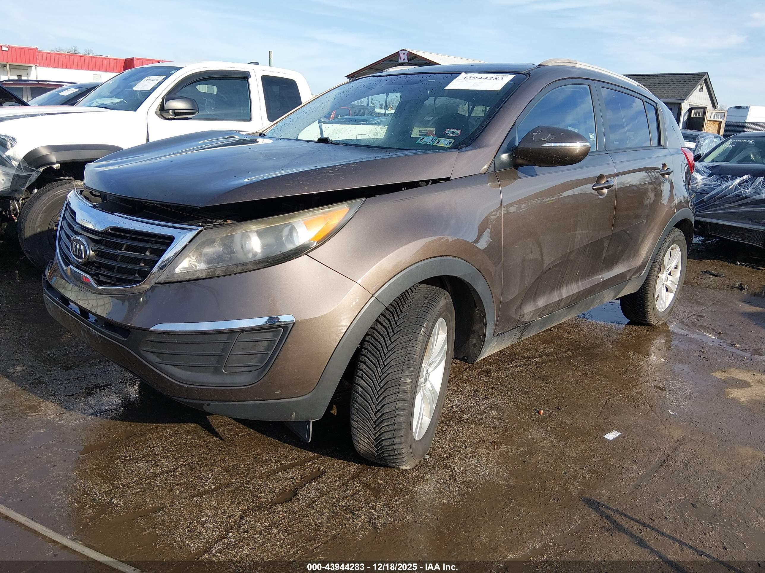 KIA SPORTAGE image 2