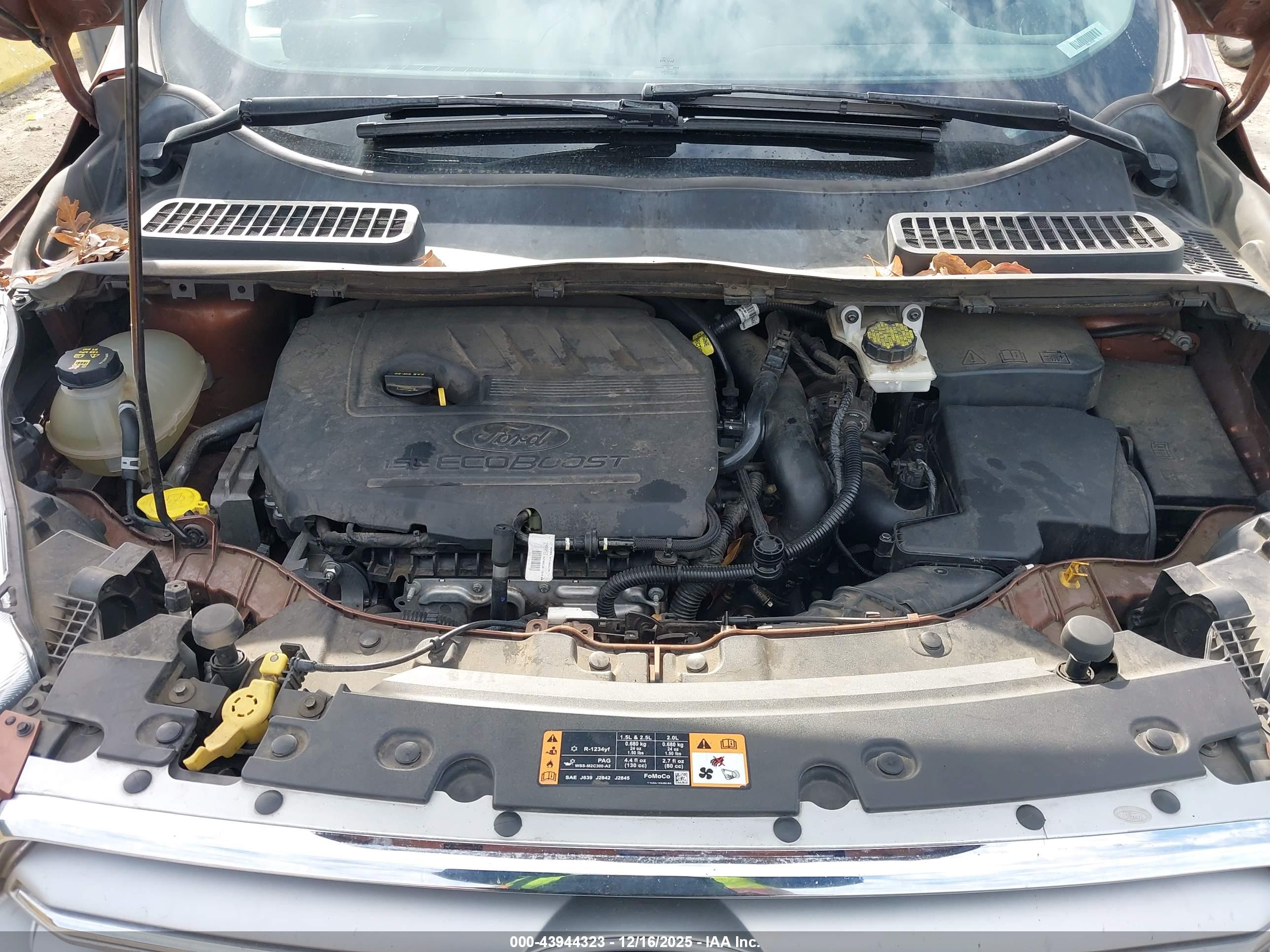 FORD ESCAPE image 10