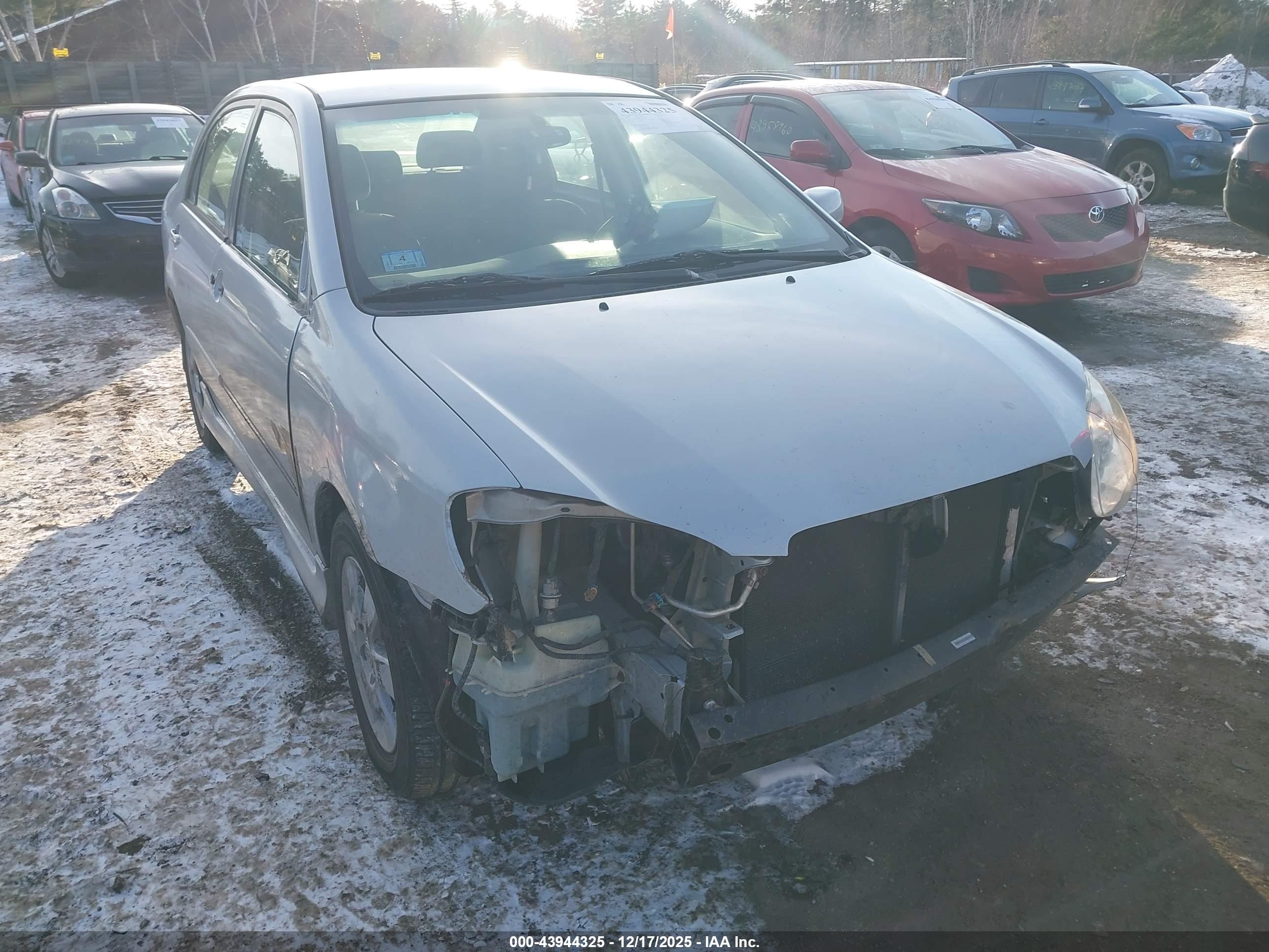 TOYOTA COROLLA image 6