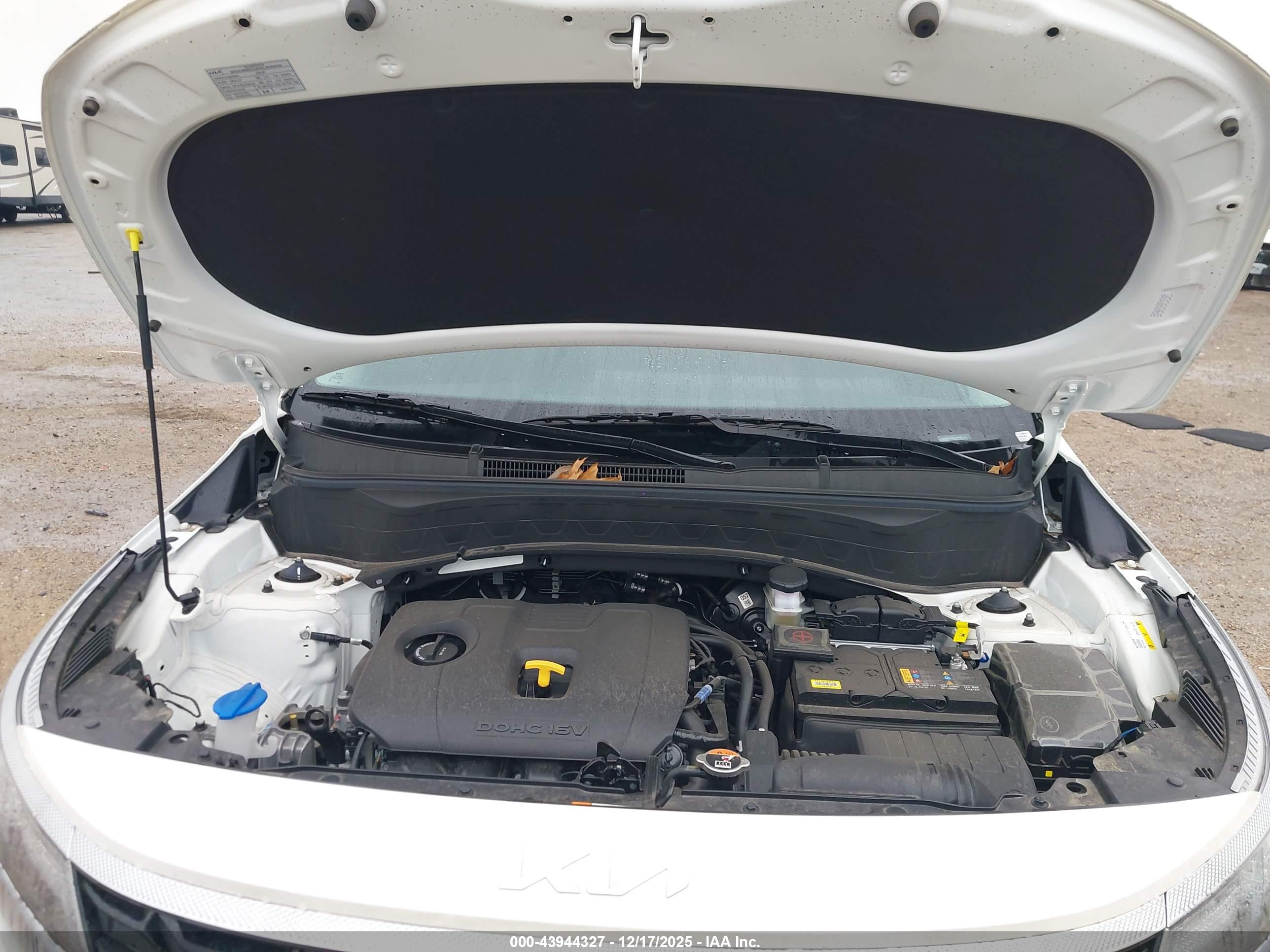 KIA SELTOS image 10