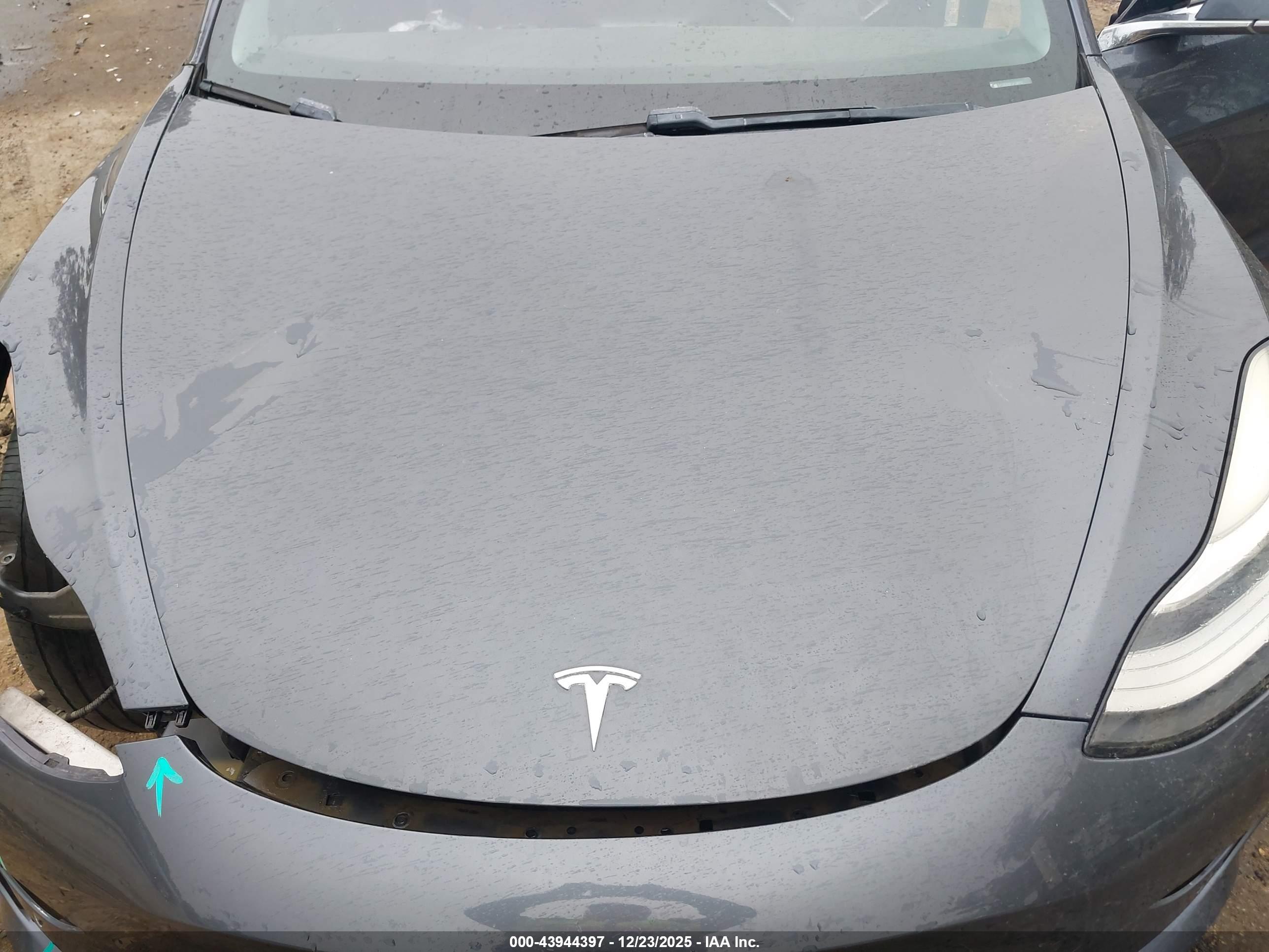 TESLA MODEL image 10
