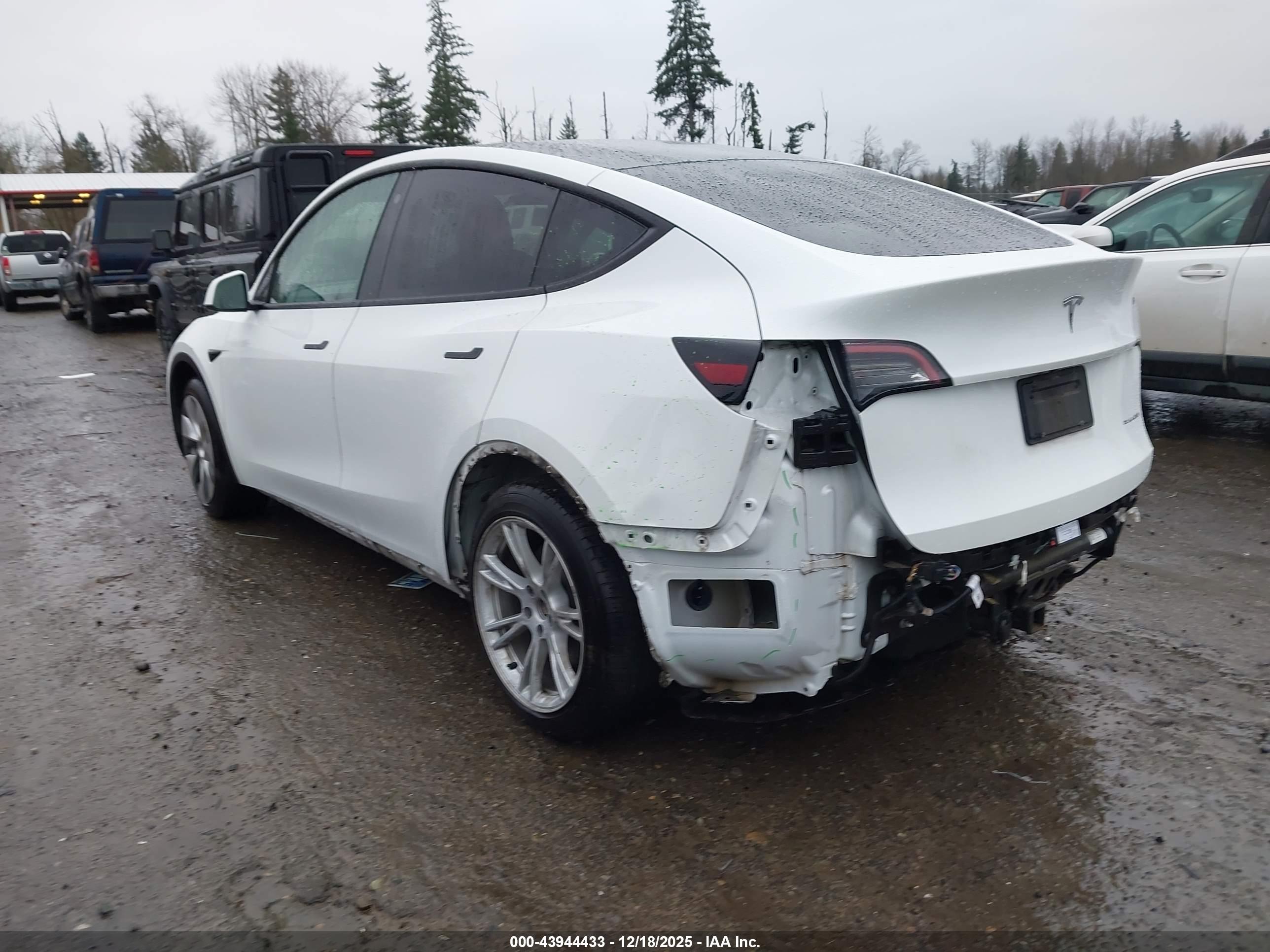 TESLA MODEL image 3