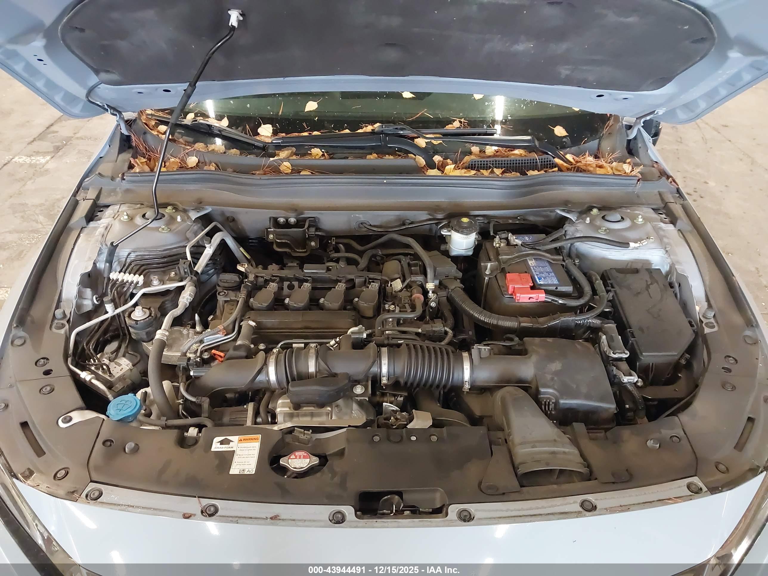 HONDA ACCORD image 10