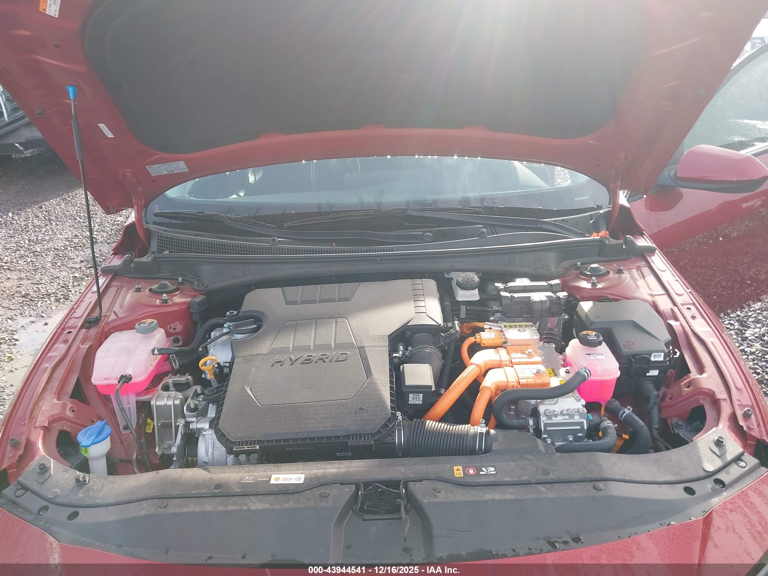 HYUNDAI ELANTRA image 10