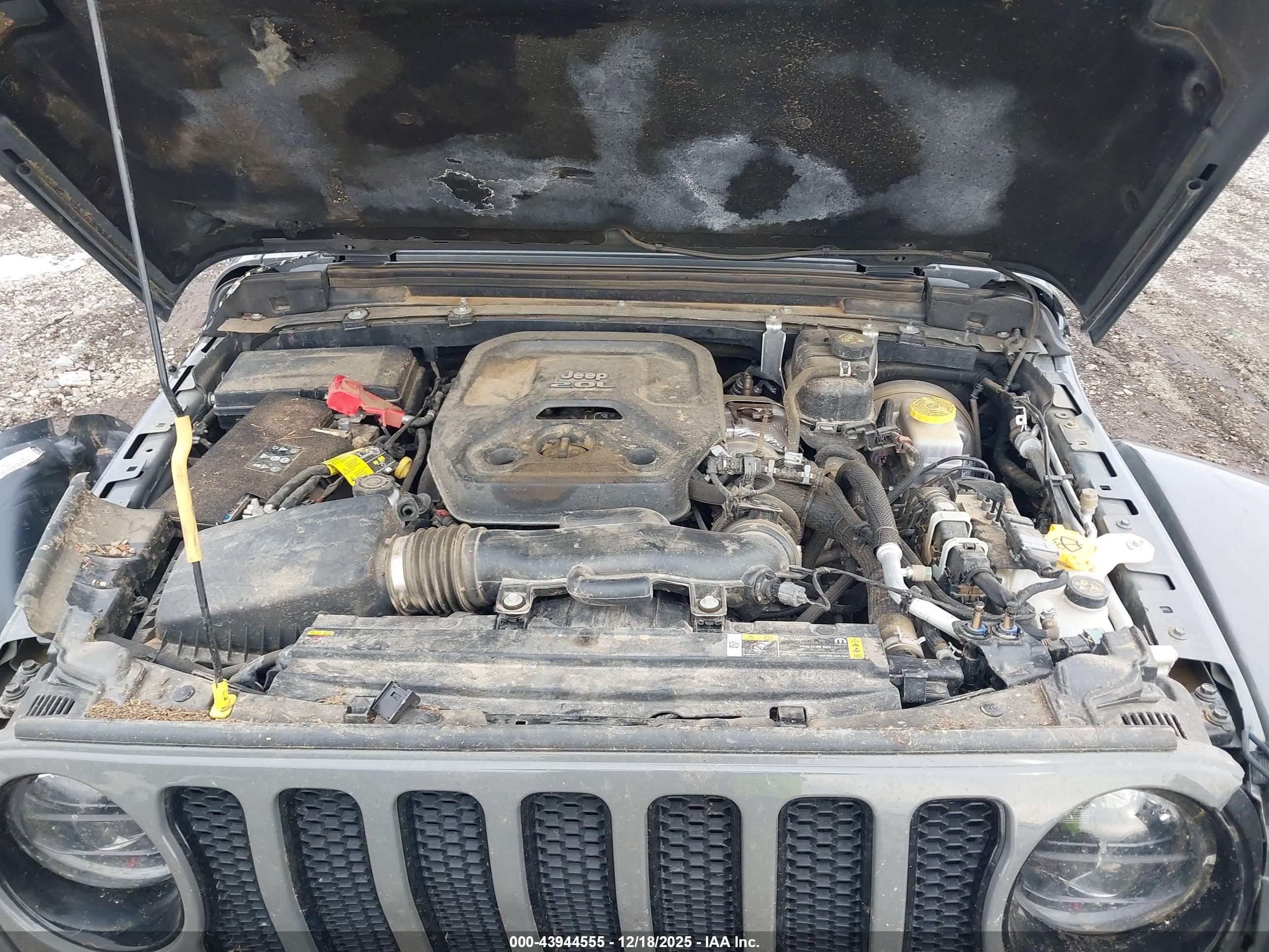 JEEP WRANGLER image 10