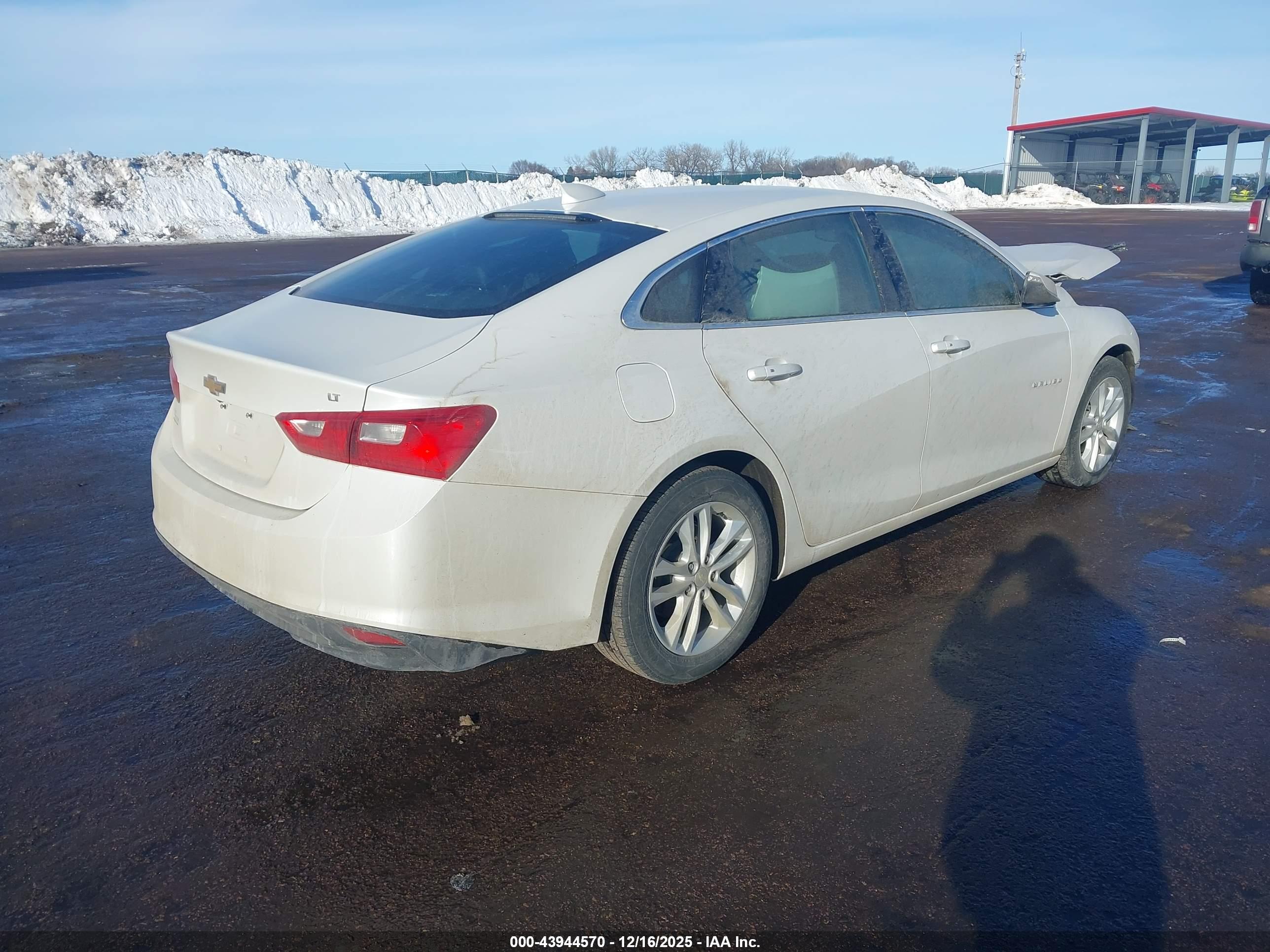 CHEVROLET MALIBU image 4