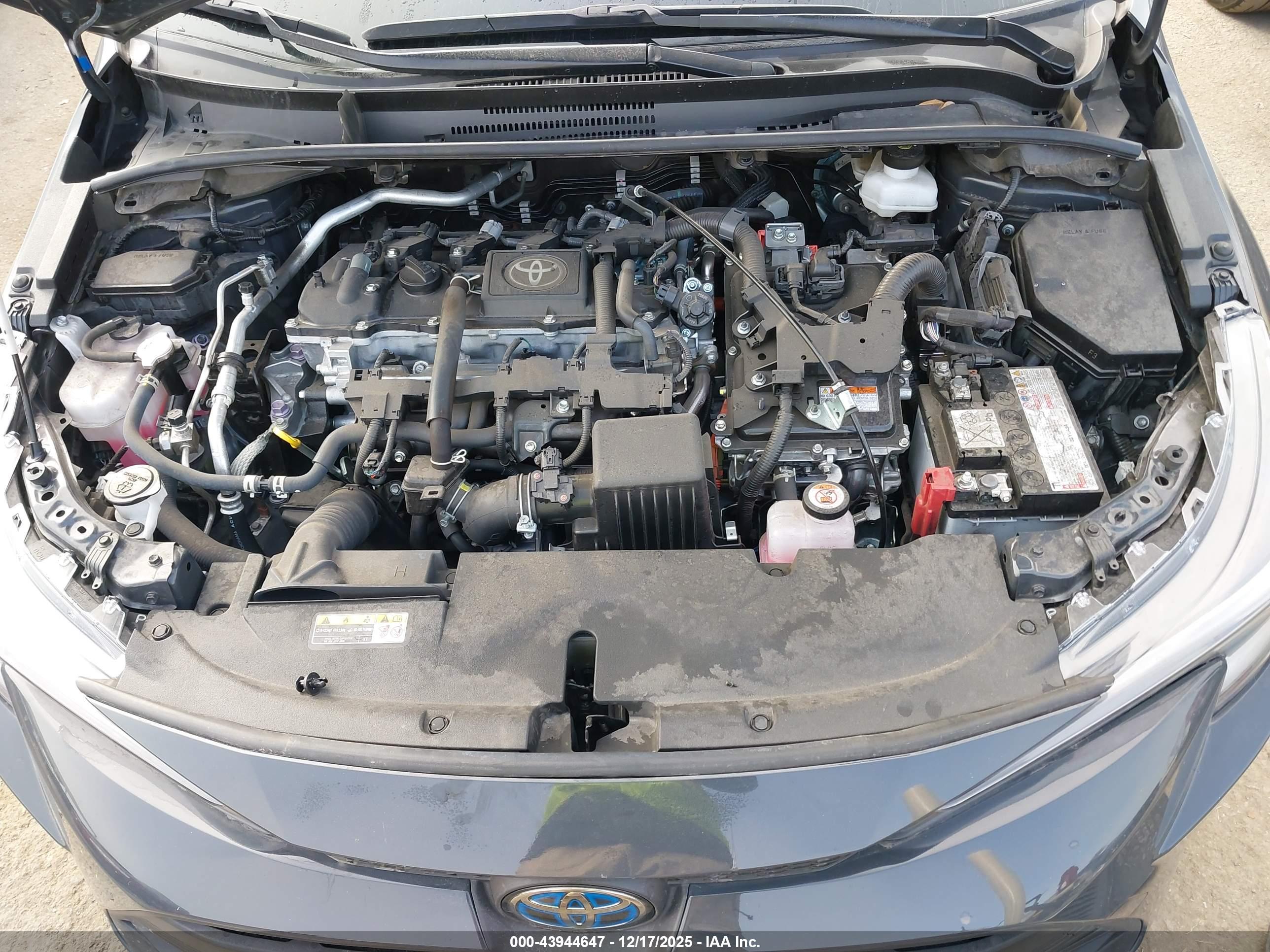 TOYOTA COROLLA image 10