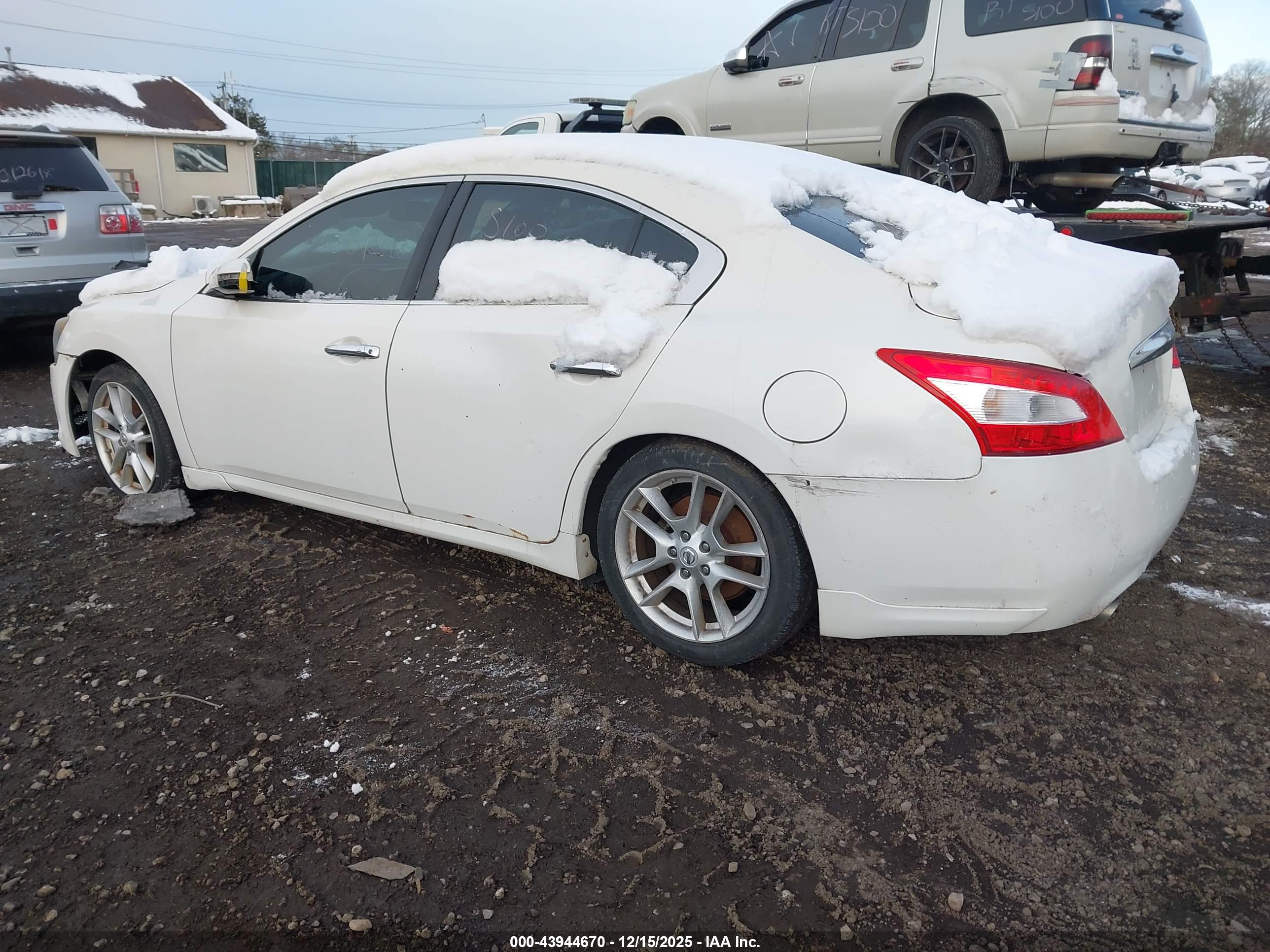 NISSAN MAXIMA image 3