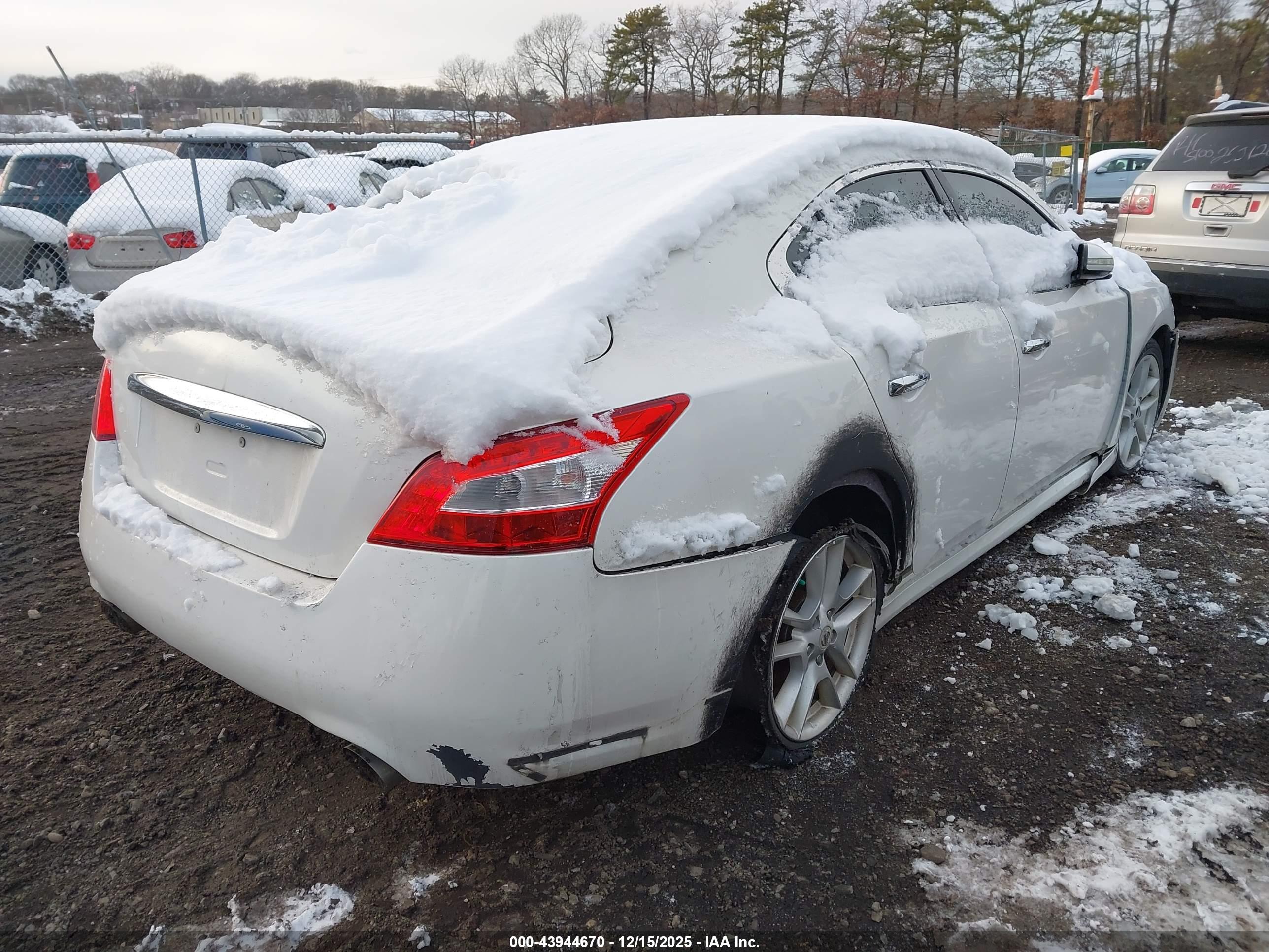 NISSAN MAXIMA image 4