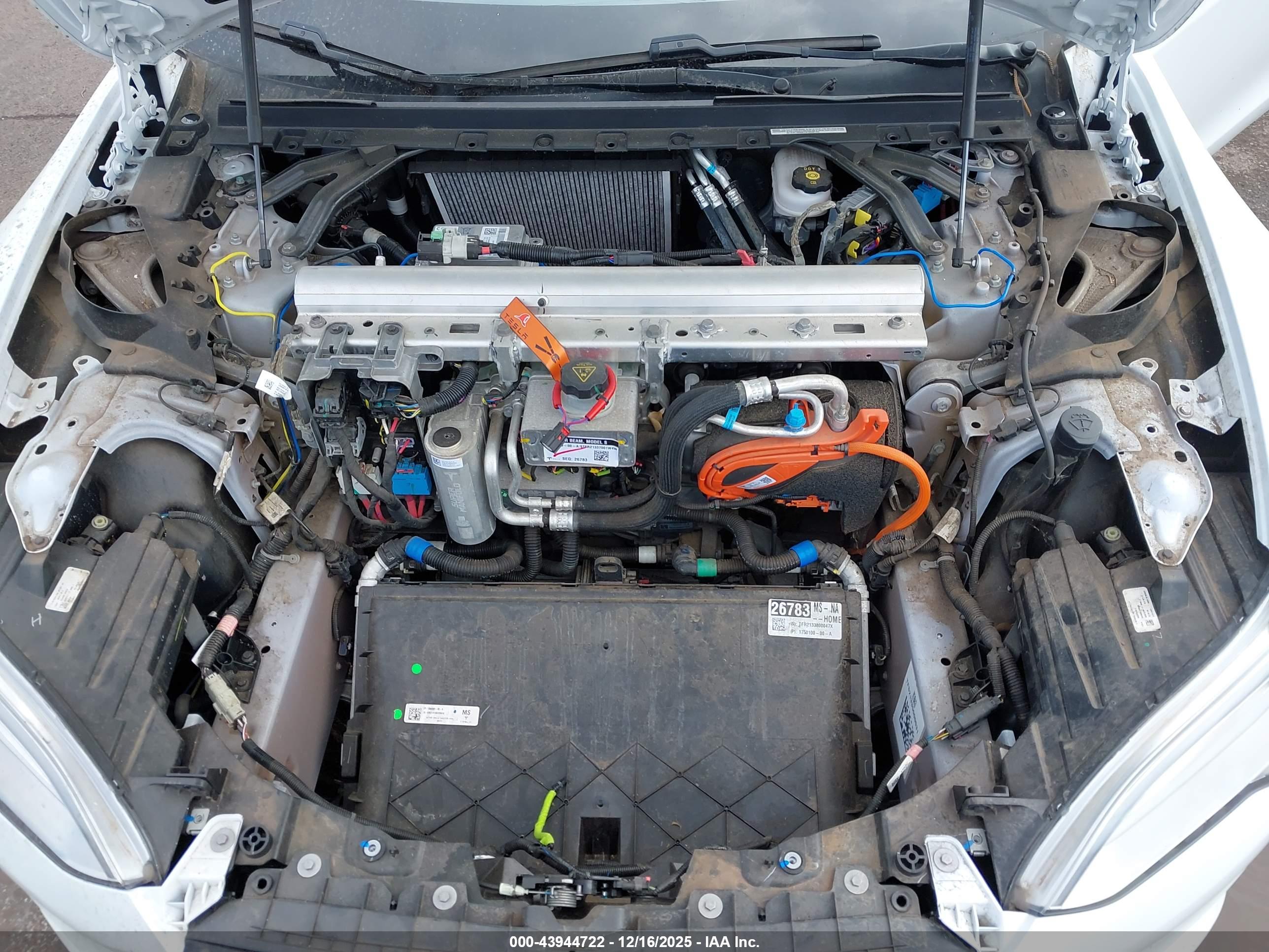 TESLA MODEL image 10