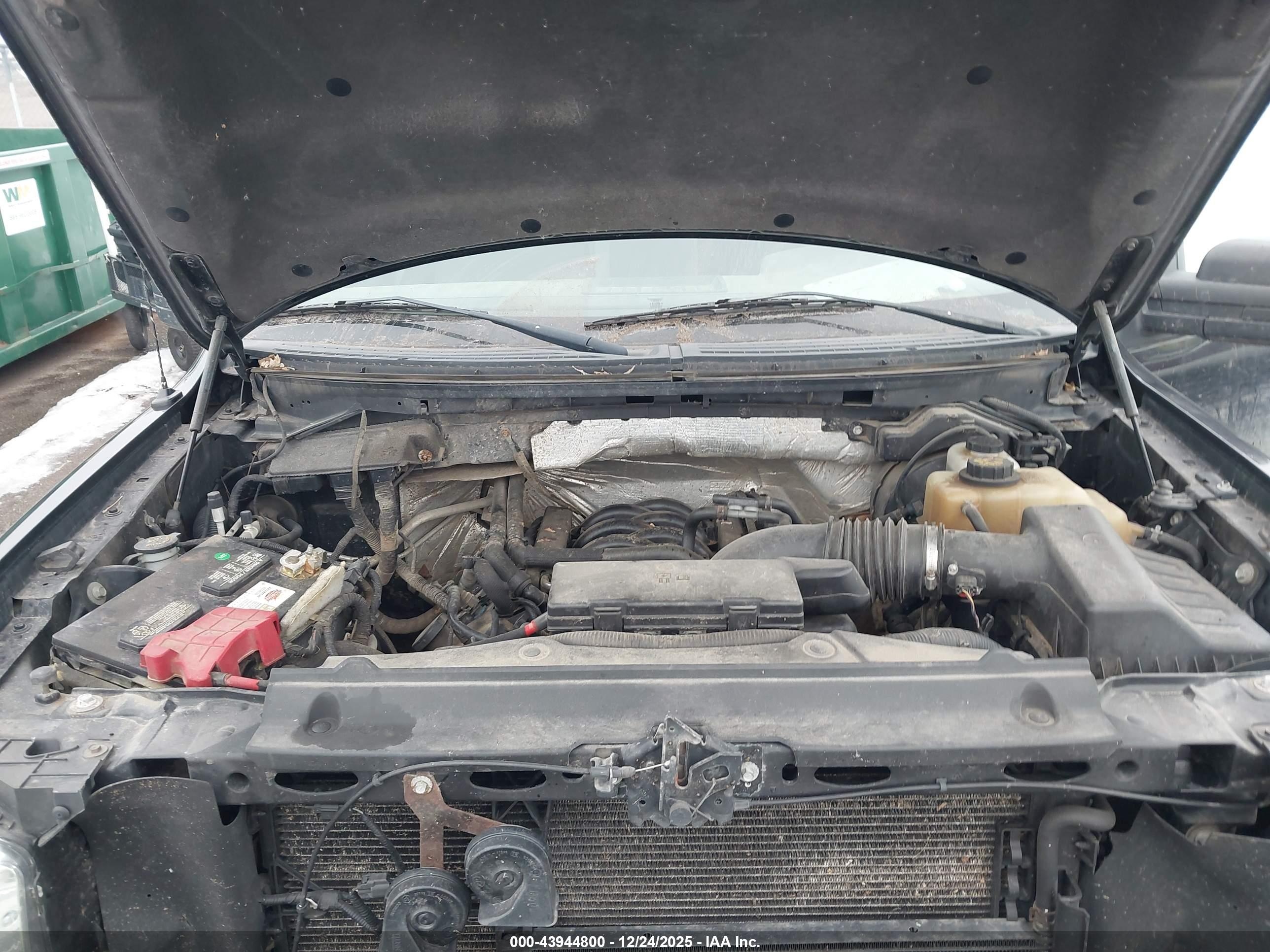 FORD F-150 image 10