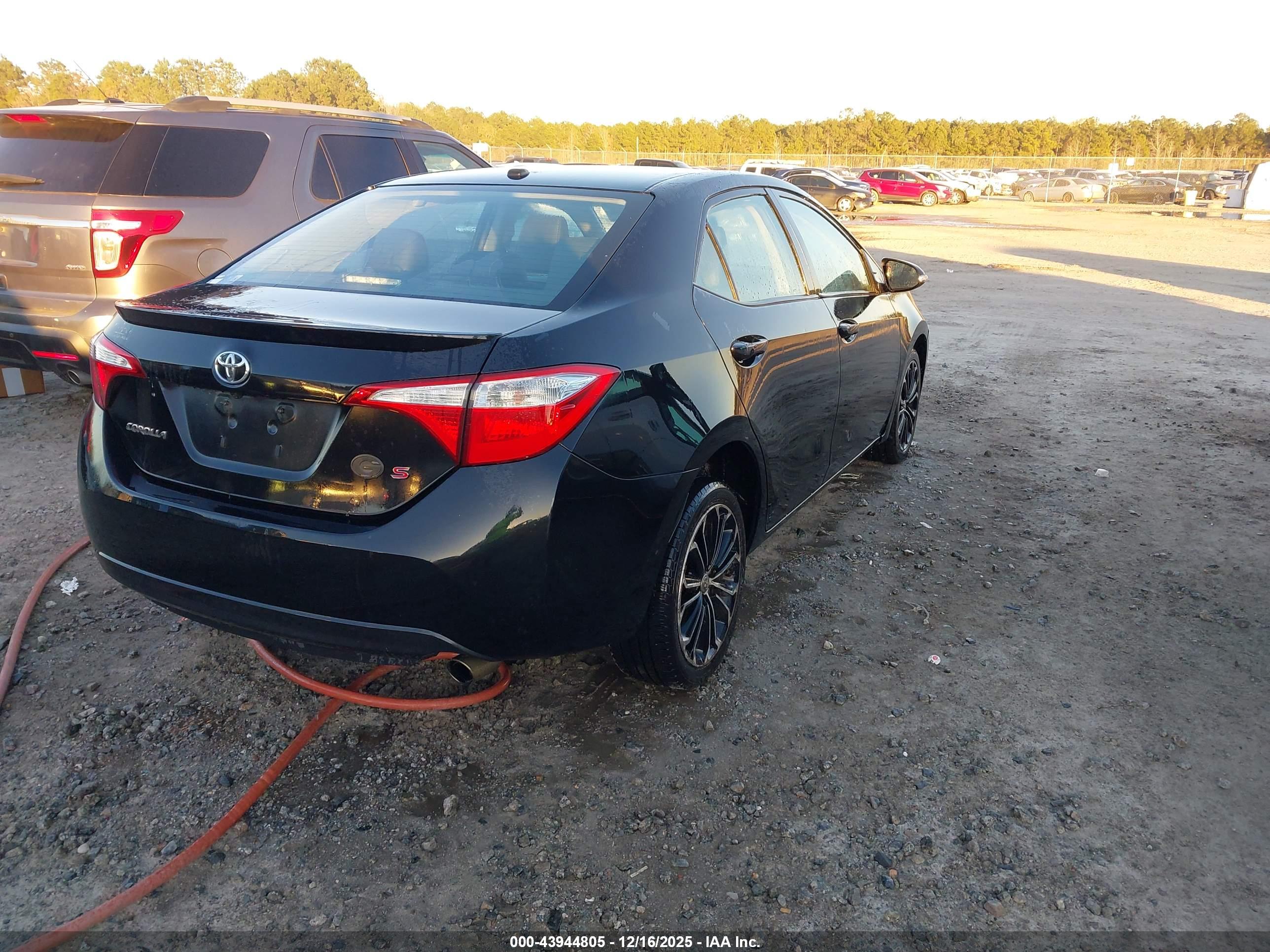 TOYOTA COROLLA image 4