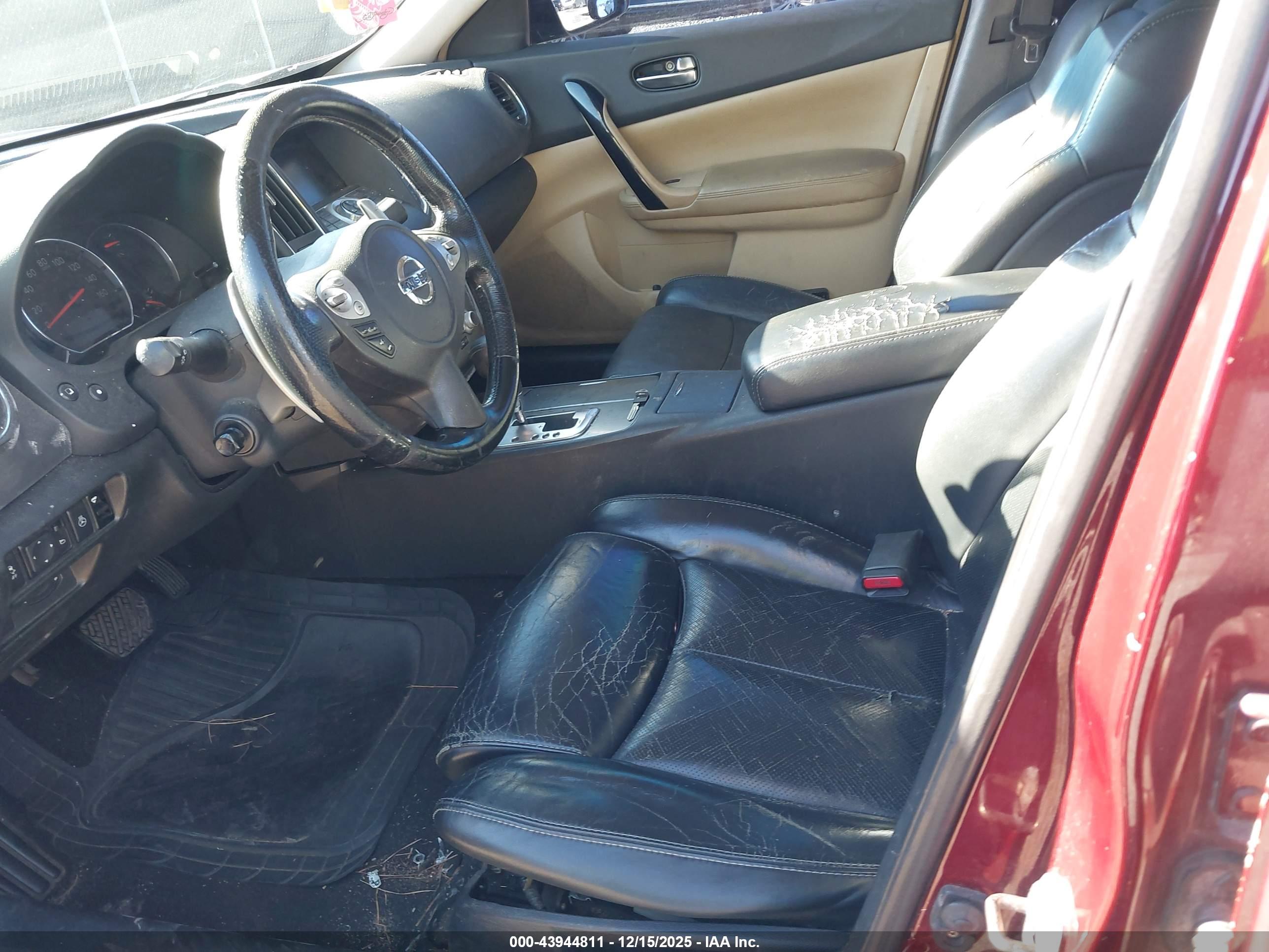 NISSAN MAXIMA image 5