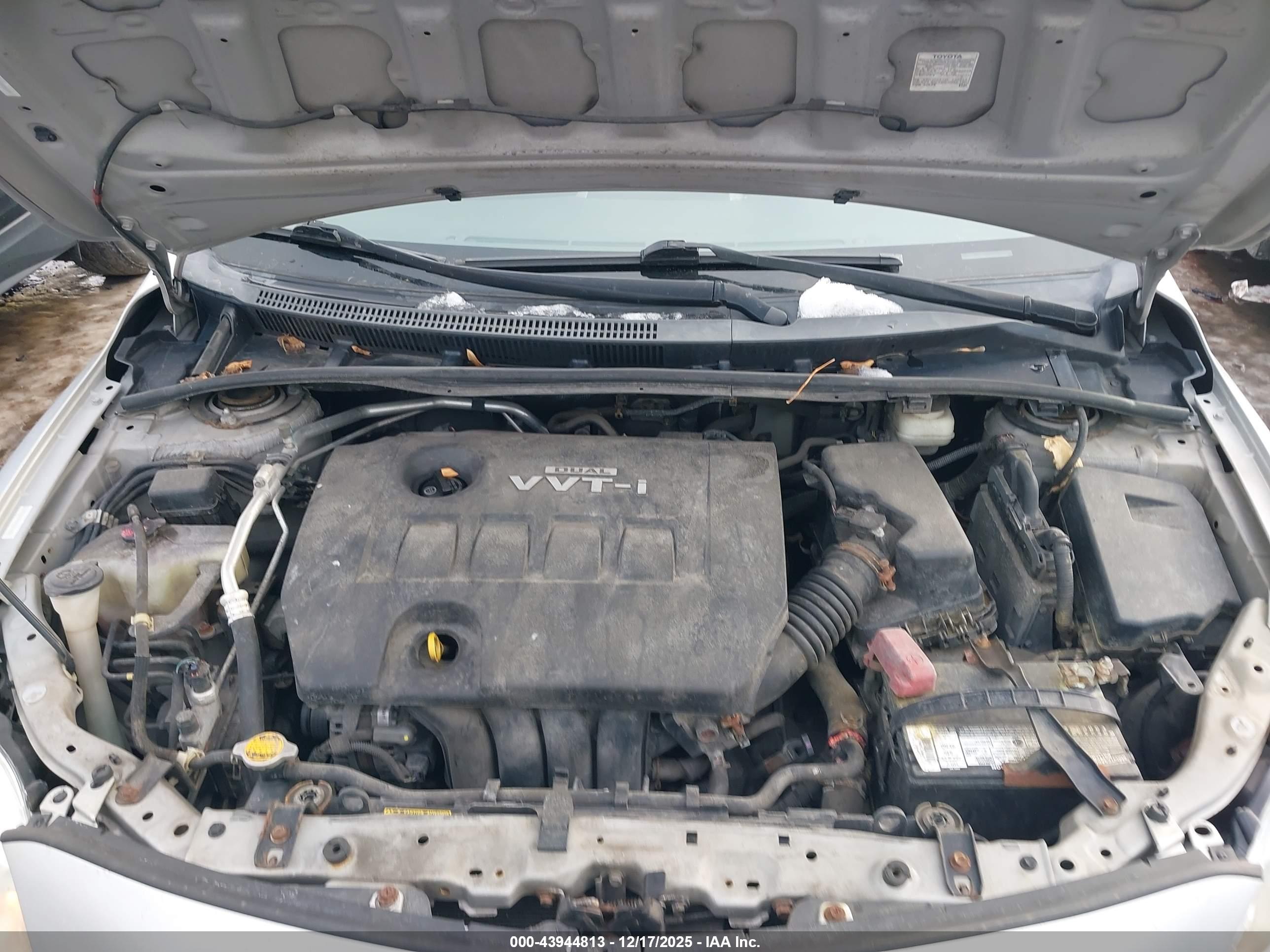 TOYOTA COROLLA image 10
