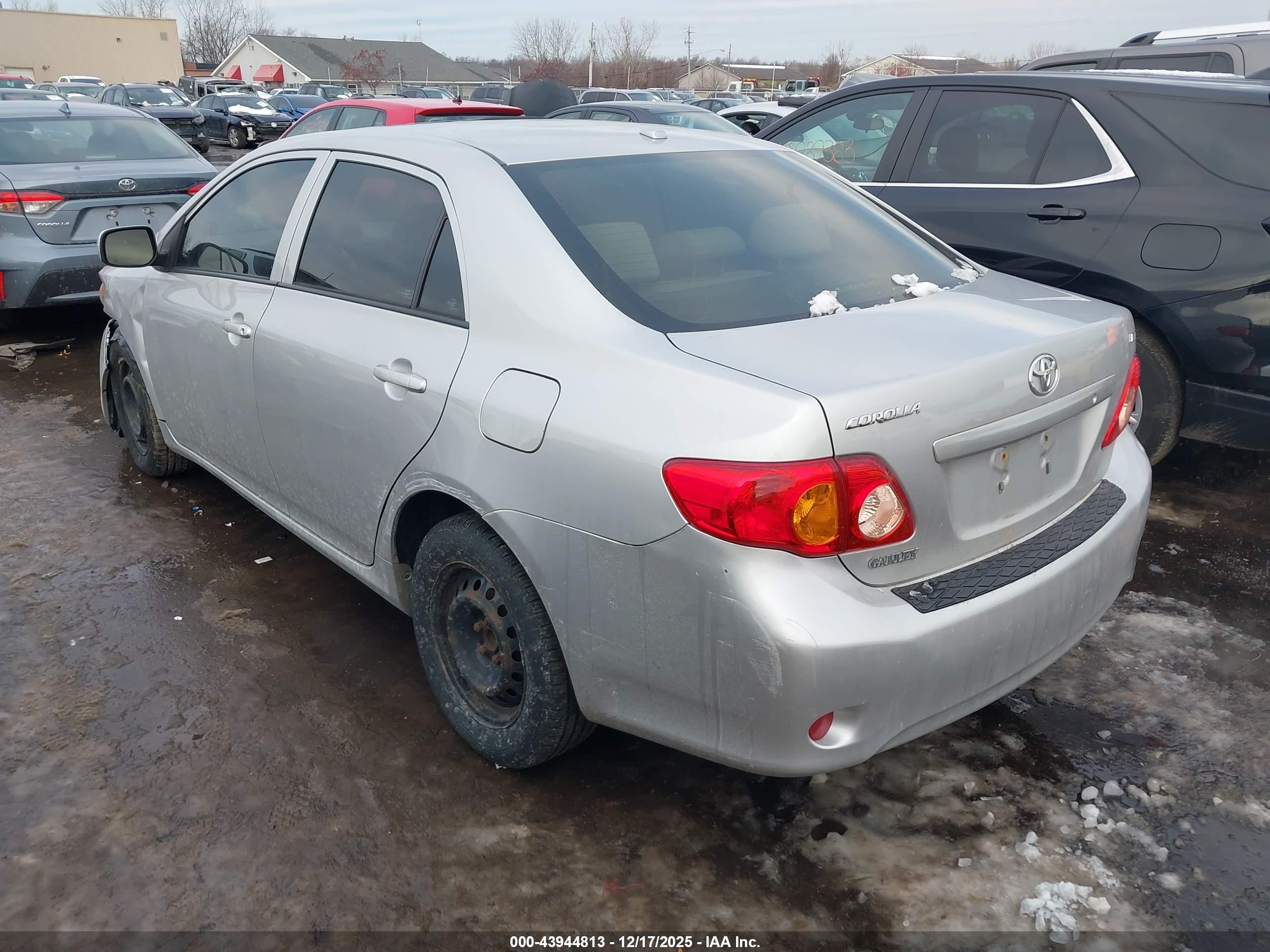 TOYOTA COROLLA image 3