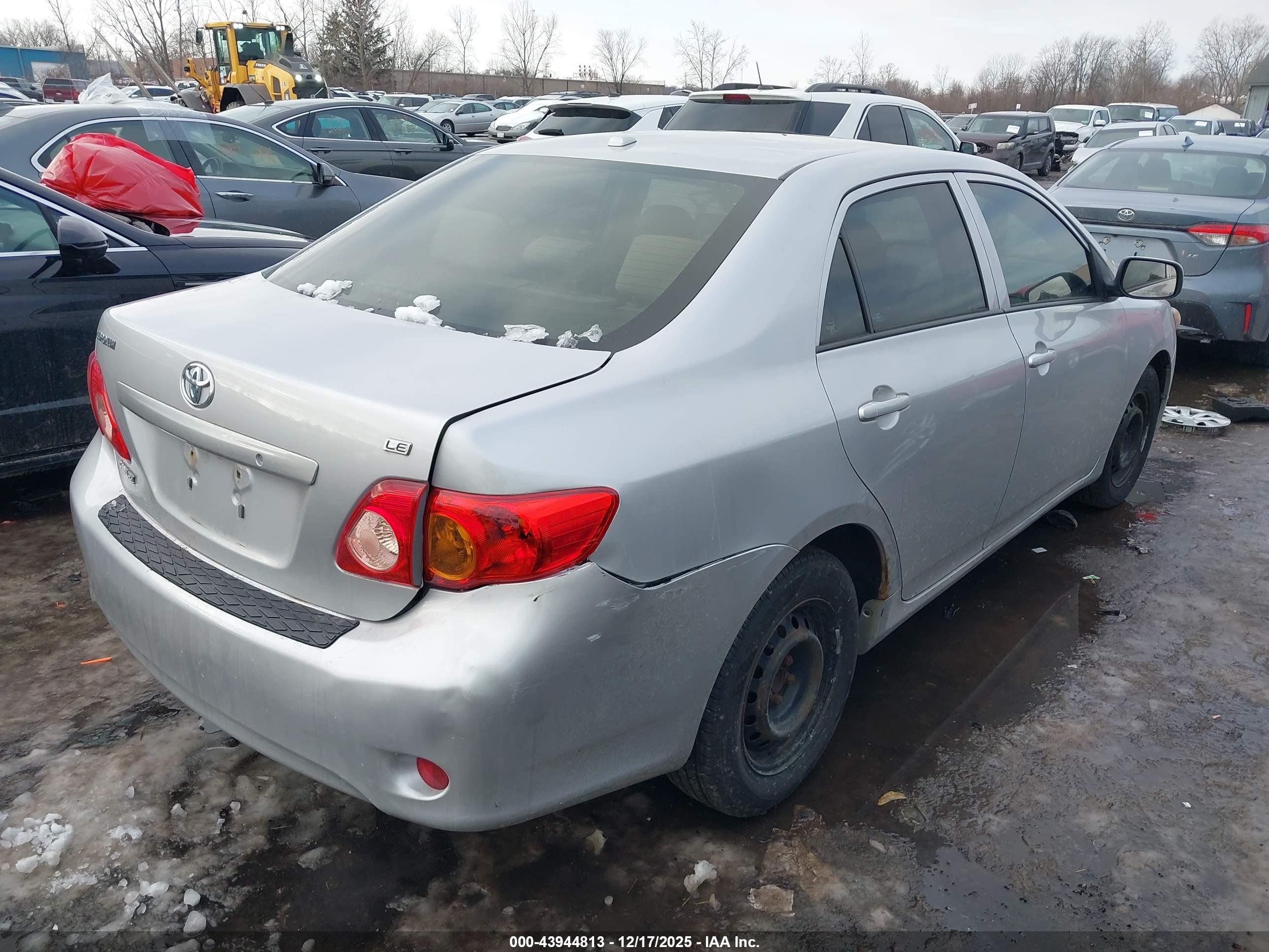 TOYOTA COROLLA image 4