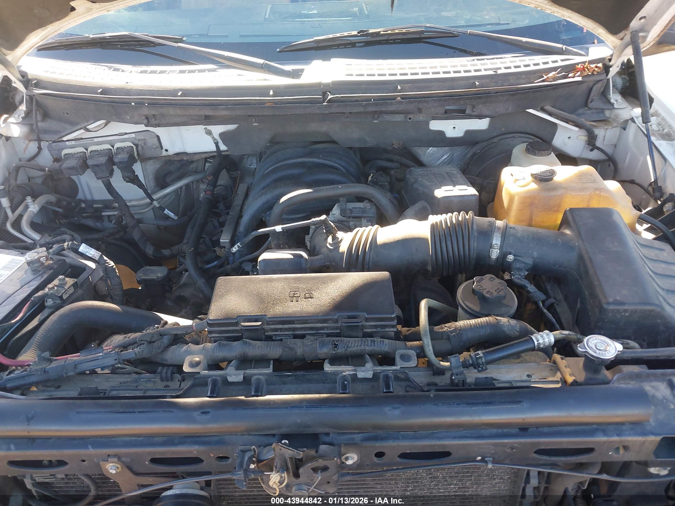 FORD F-150 image 10