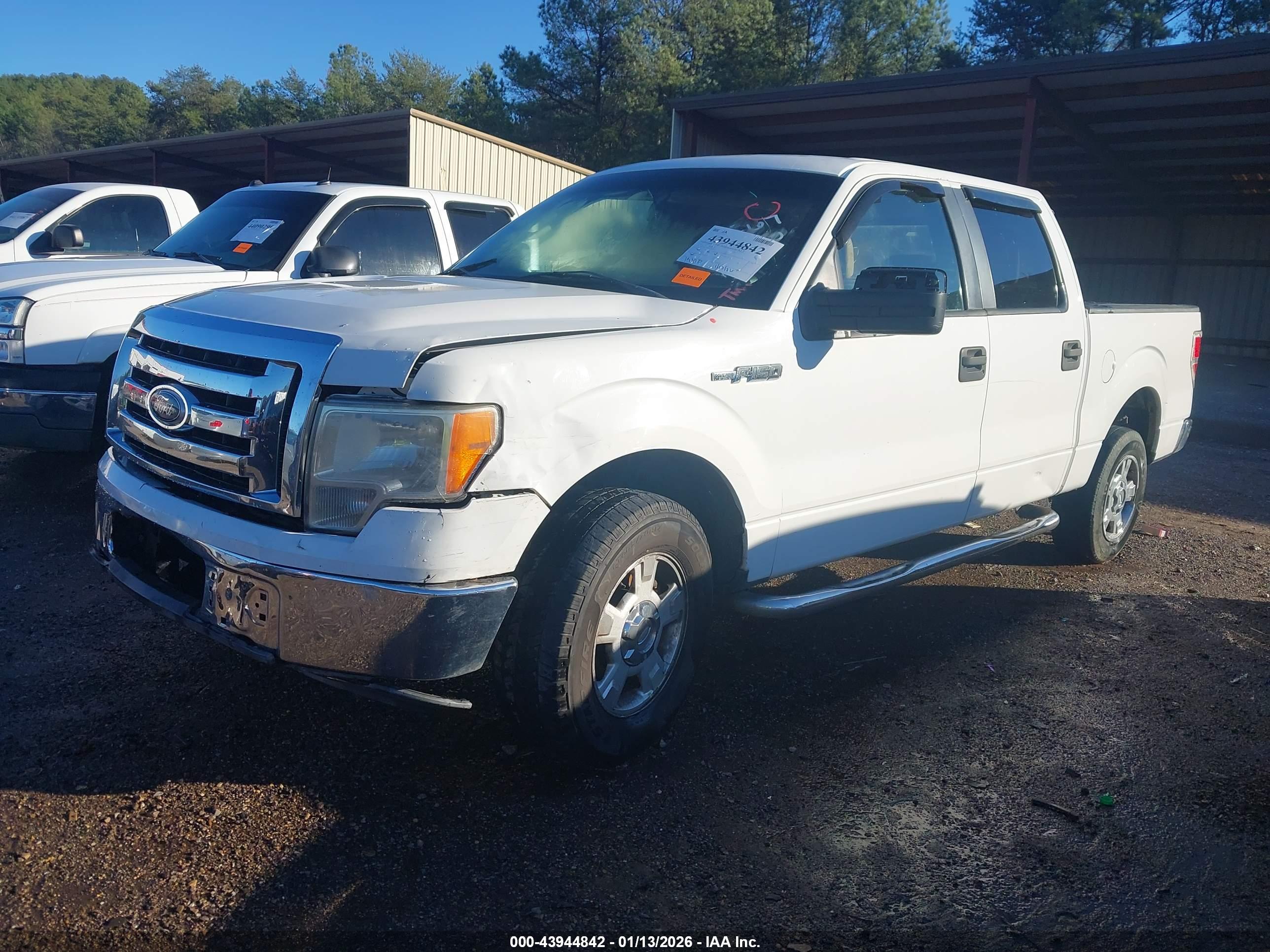FORD F-150 image 2