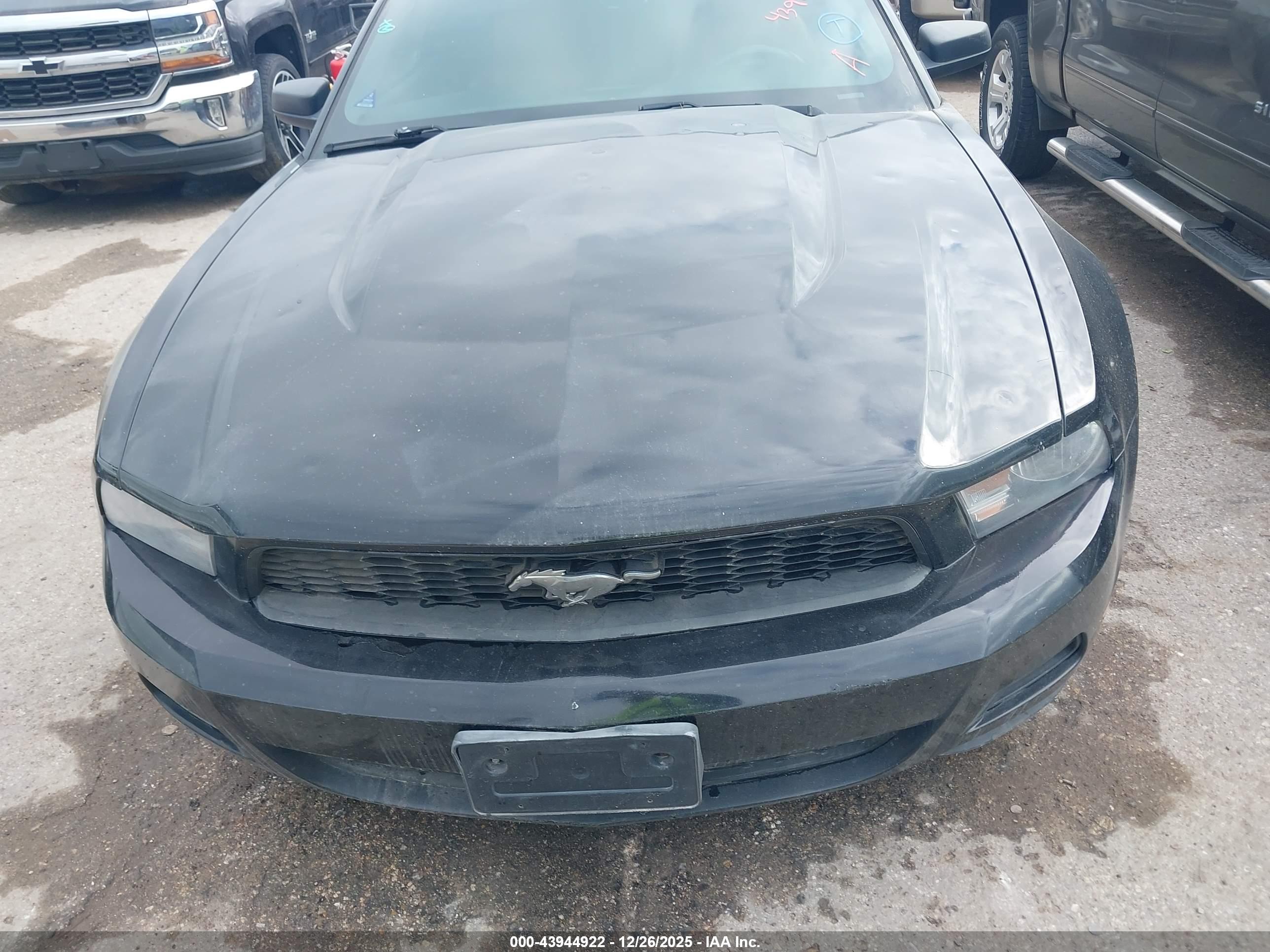 FORD MUSTANG image 10