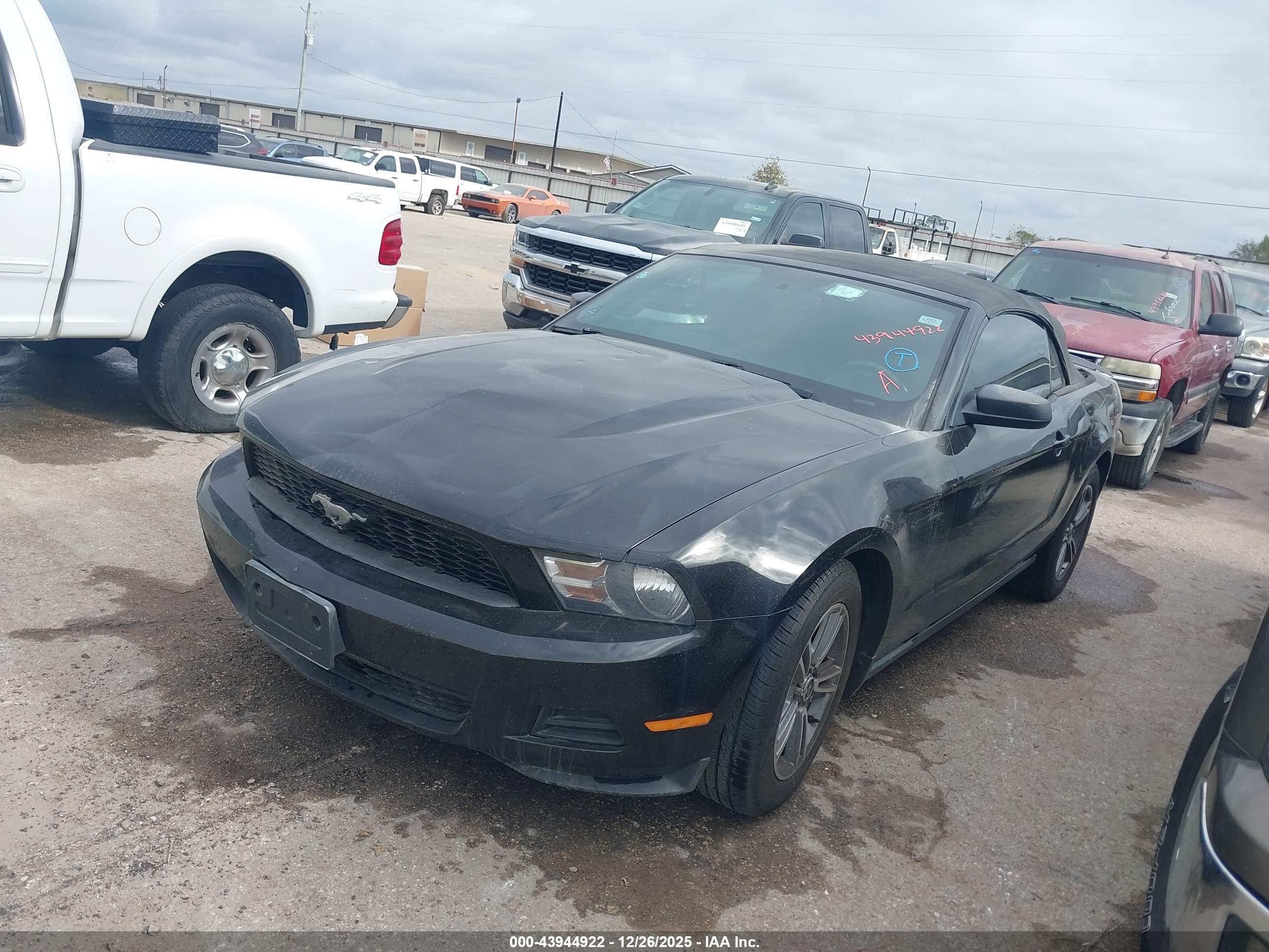 FORD MUSTANG image 2