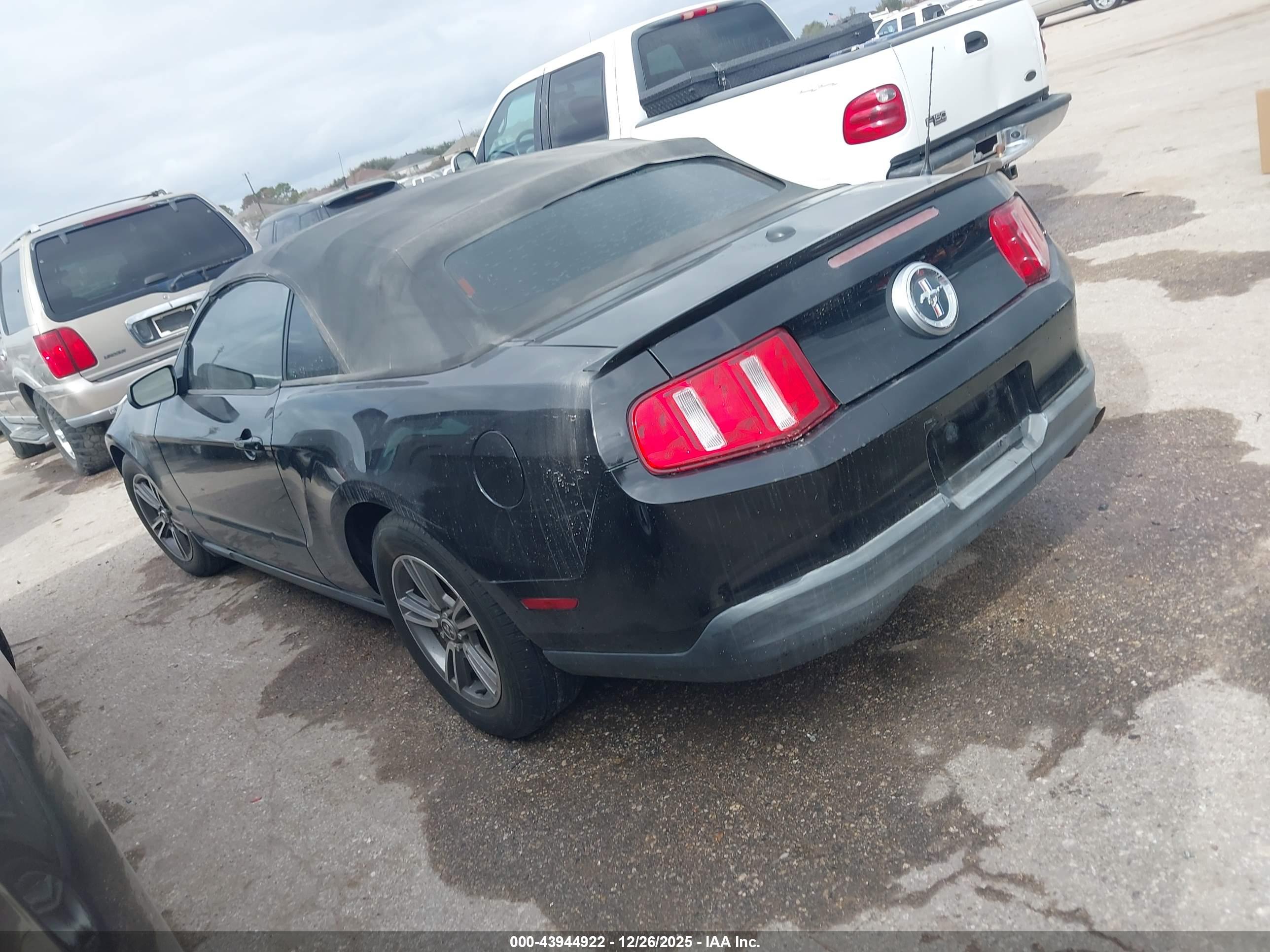 FORD MUSTANG image 3