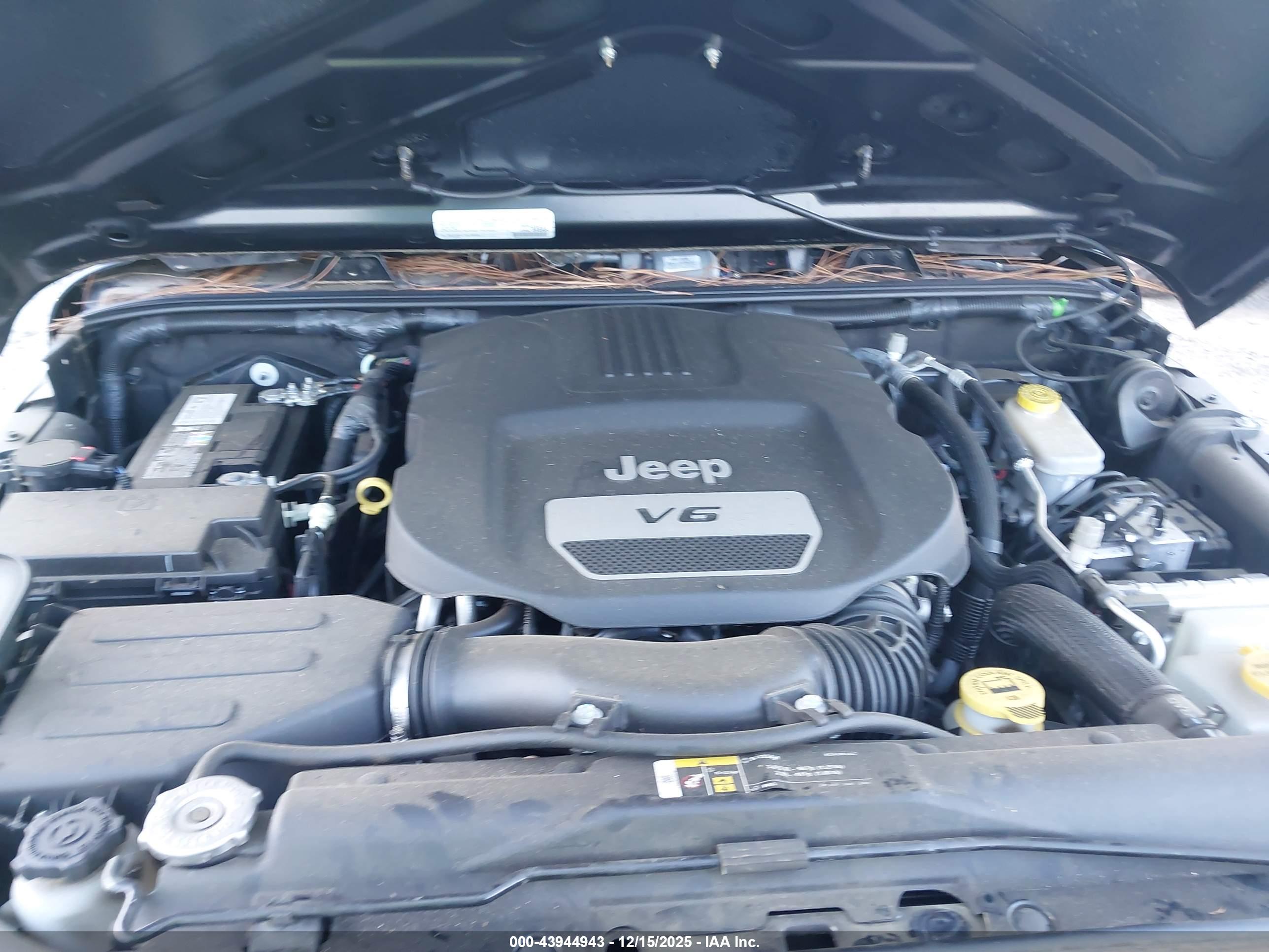 JEEP WRANGLER image 10