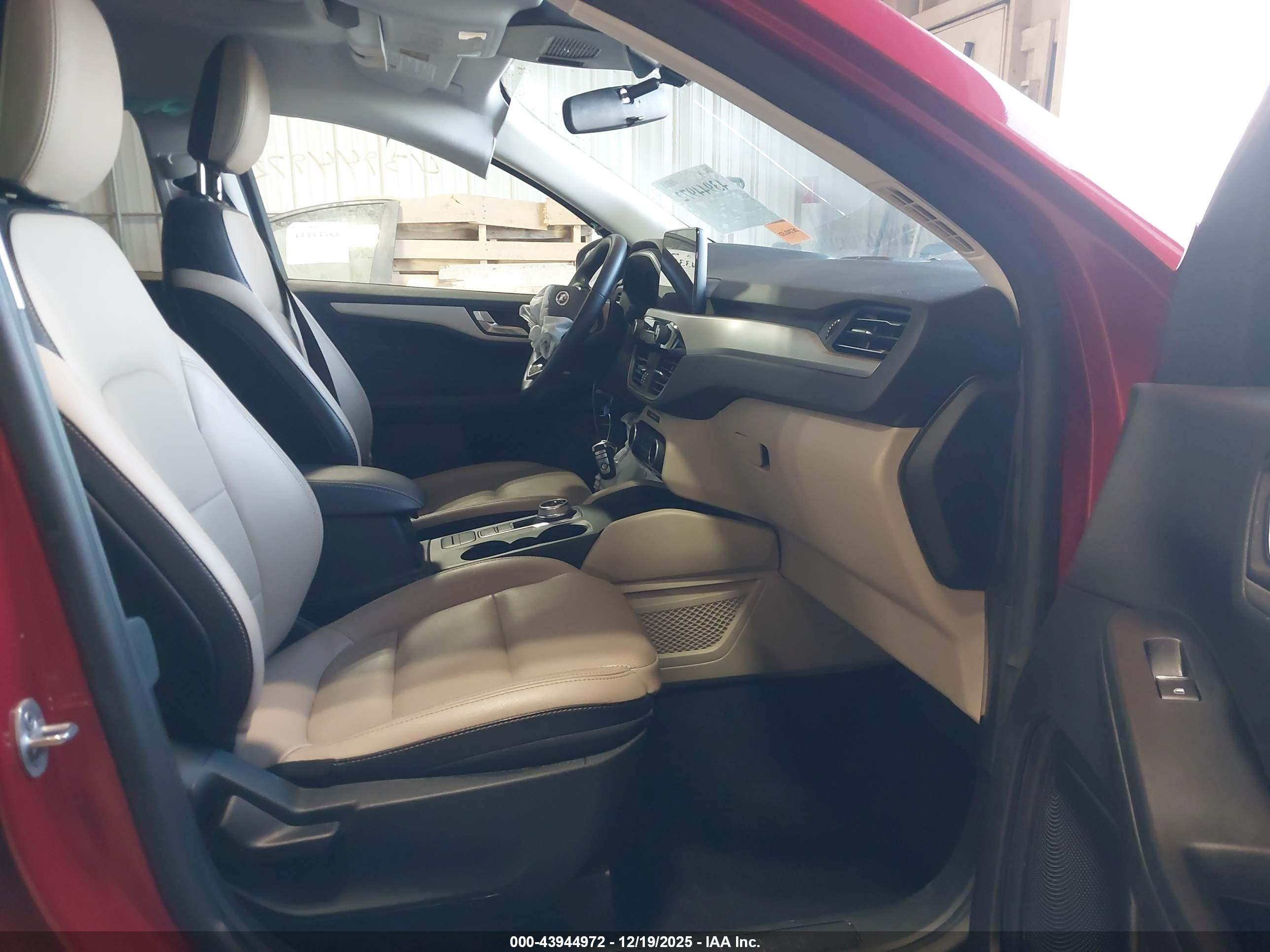 FORD ESCAPE image 5