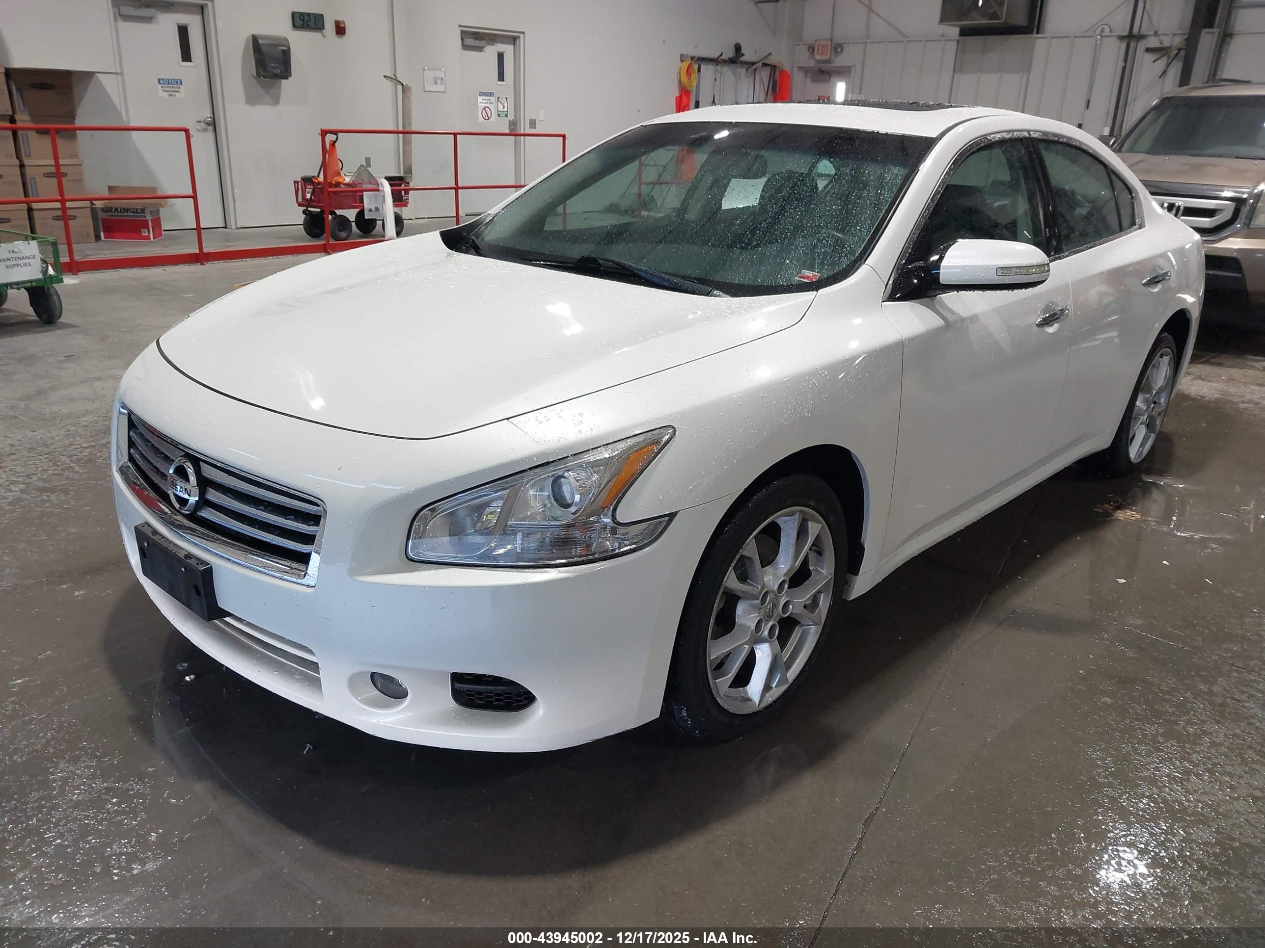 NISSAN MAXIMA image 2