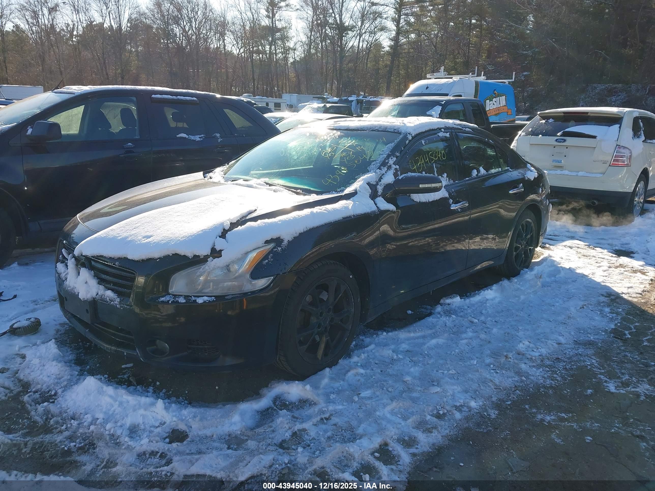 NISSAN MAXIMA image 2