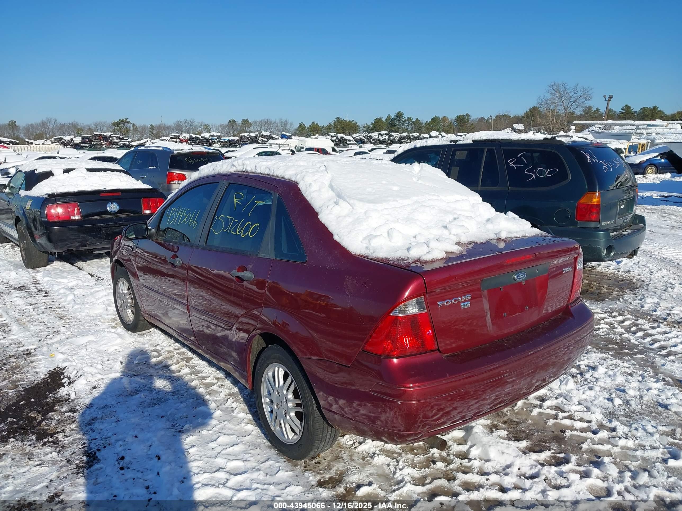 FORD FOCUS image 3