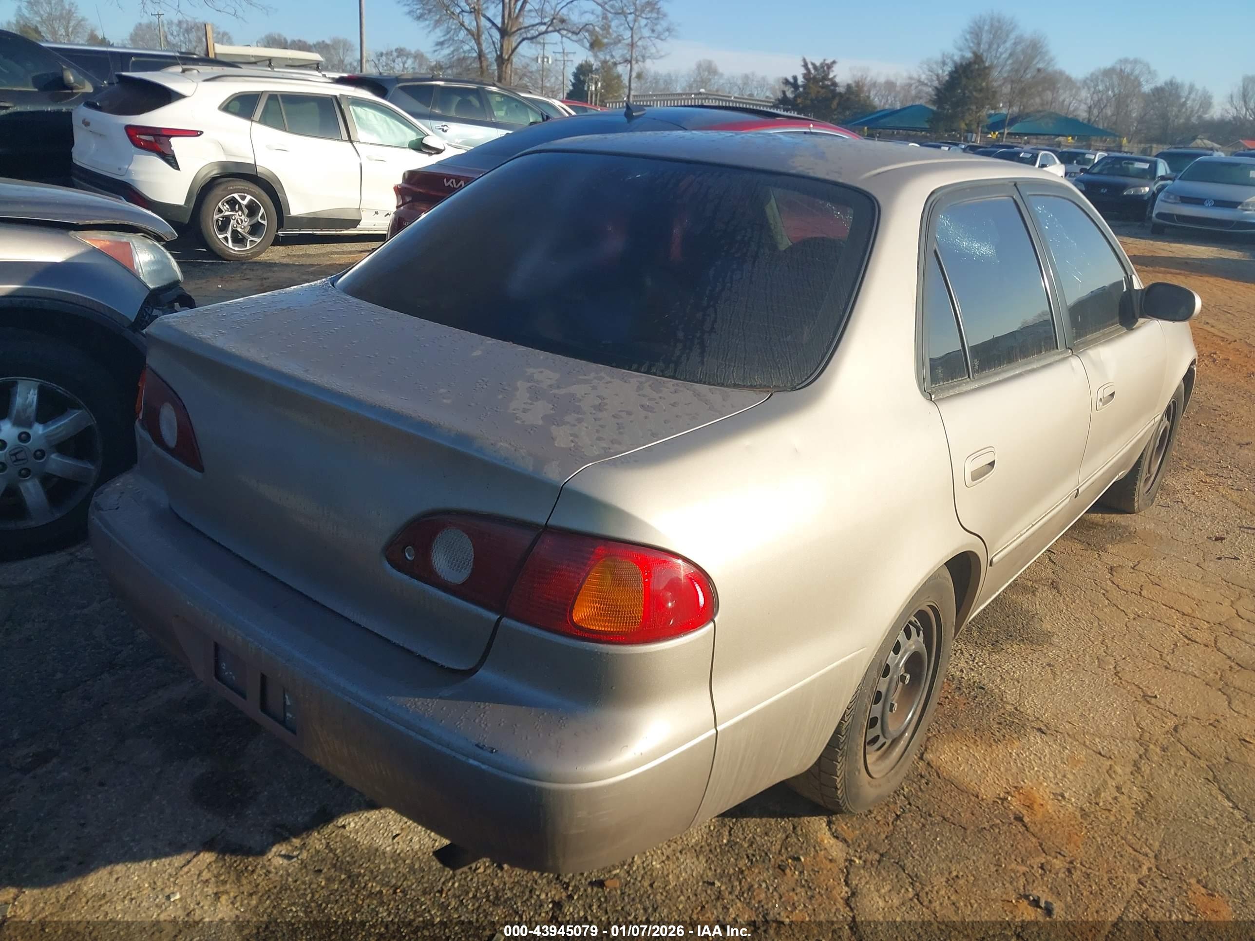 TOYOTA COROLLA image 4