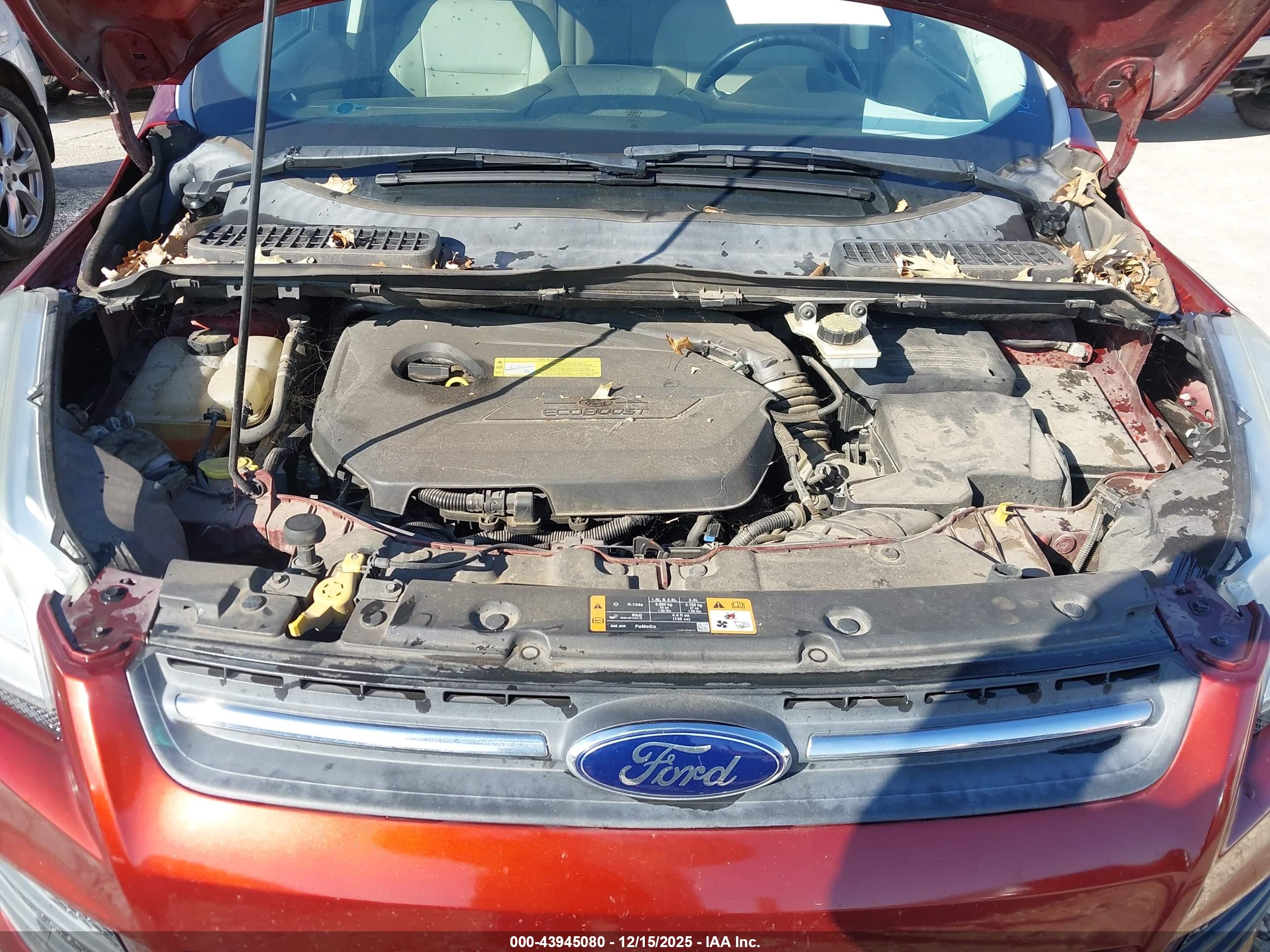 FORD ESCAPE image 10