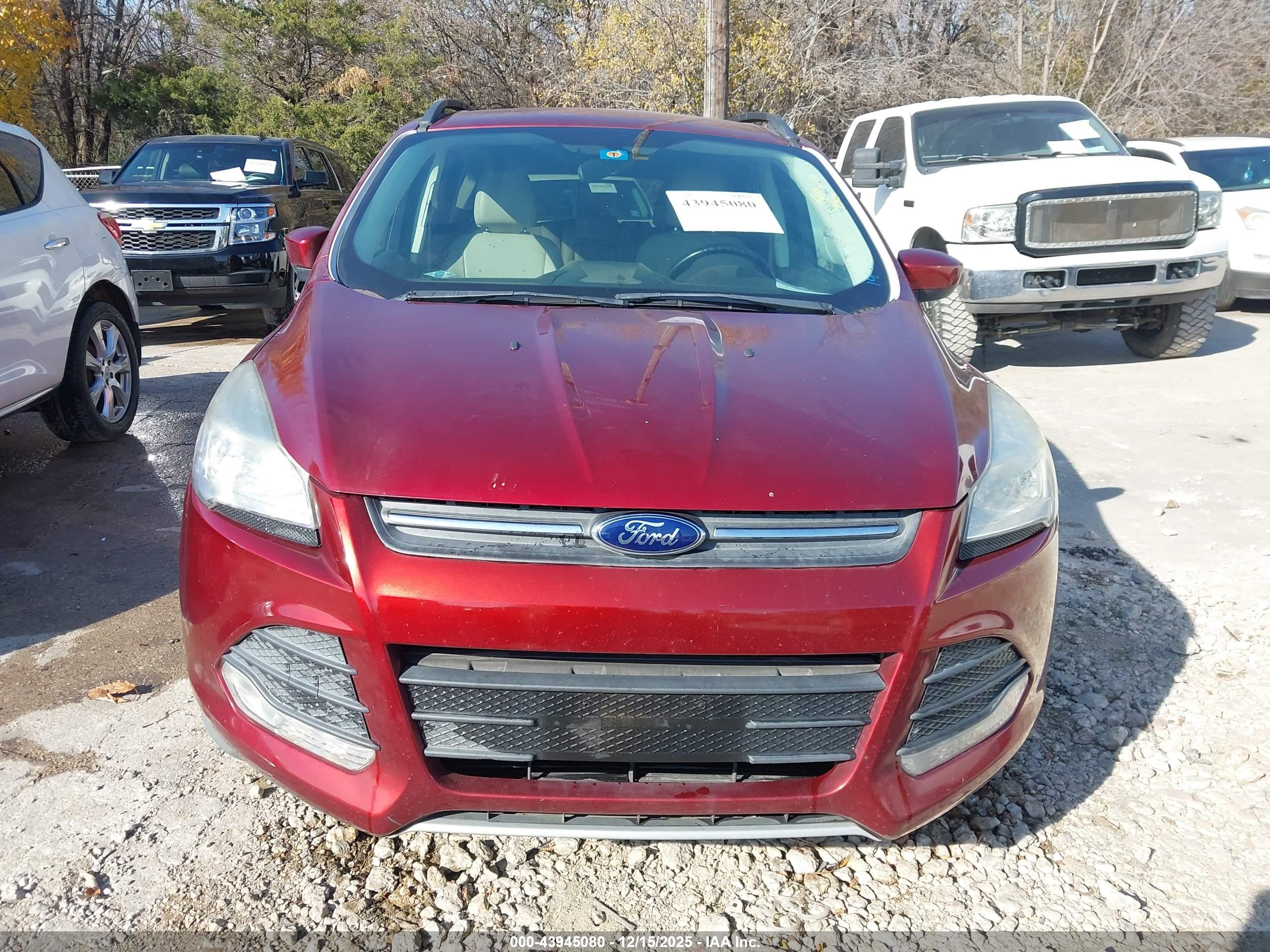 FORD ESCAPE image 6