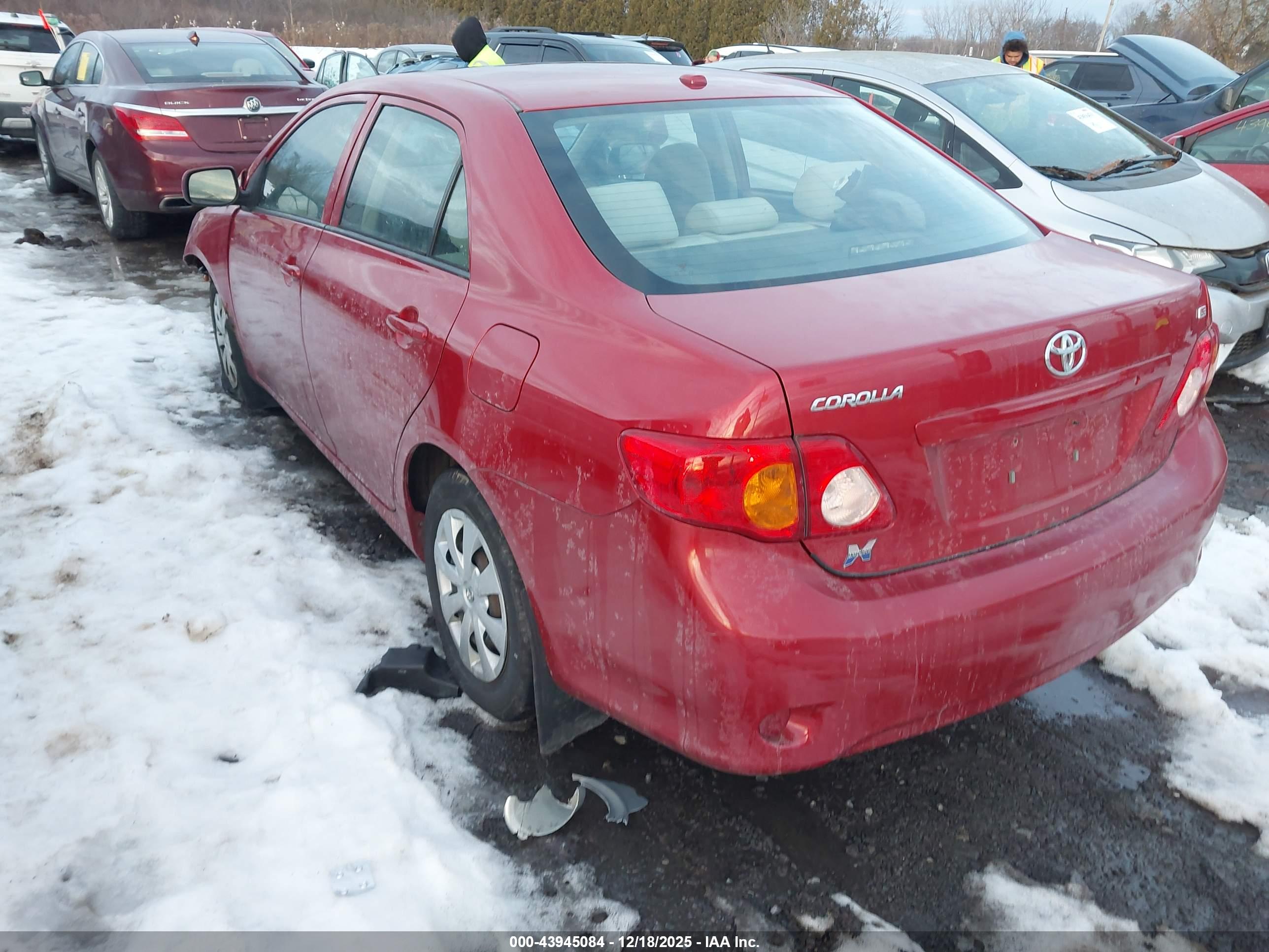 TOYOTA COROLLA image 3