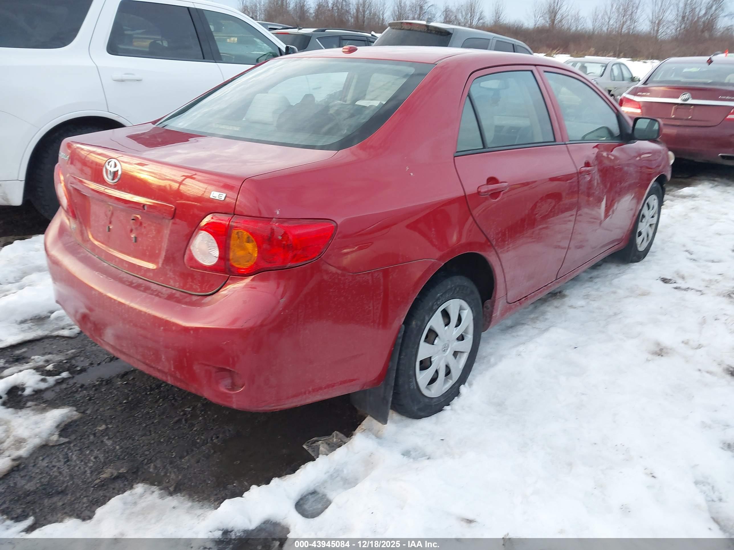 TOYOTA COROLLA image 4