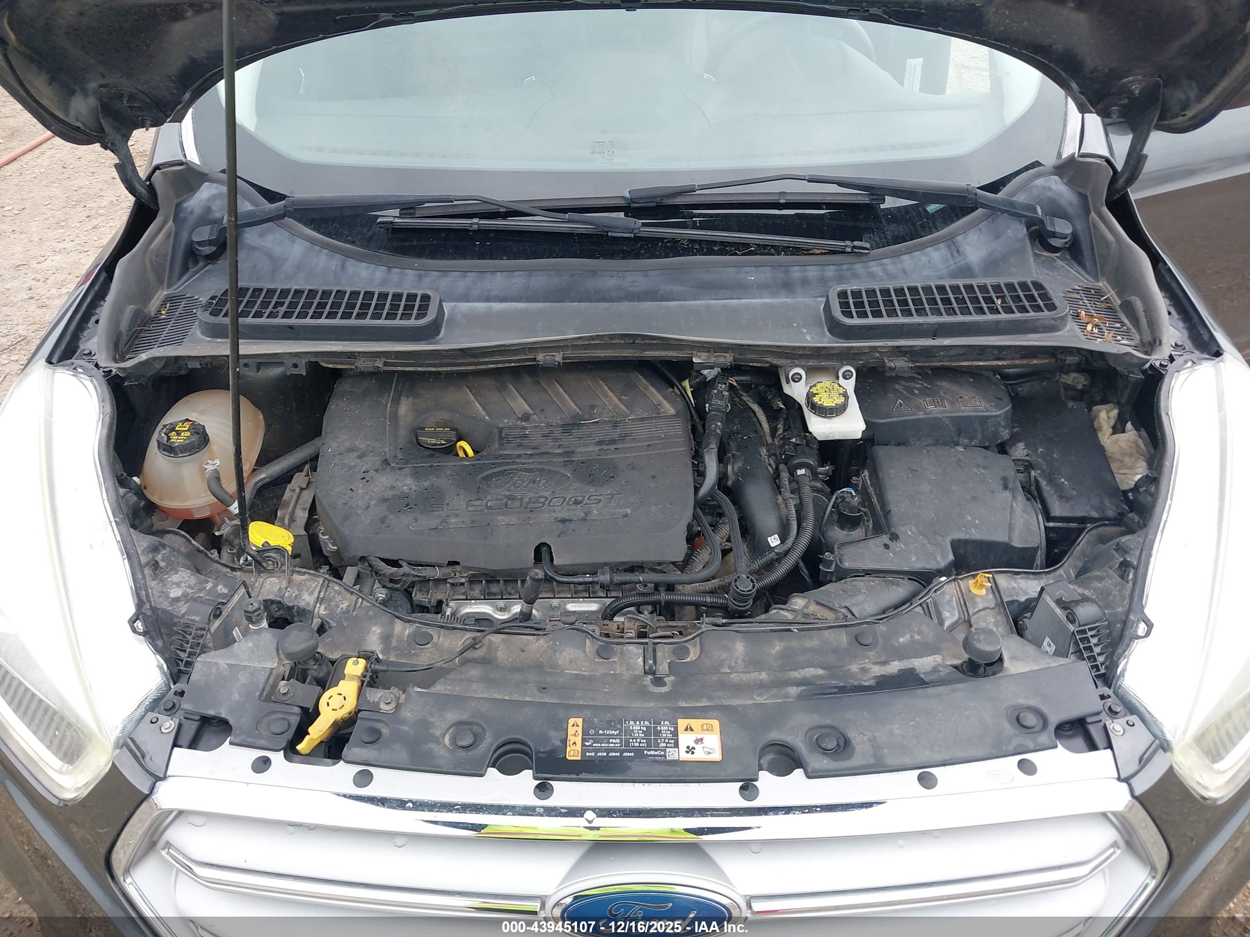 FORD ESCAPE image 10