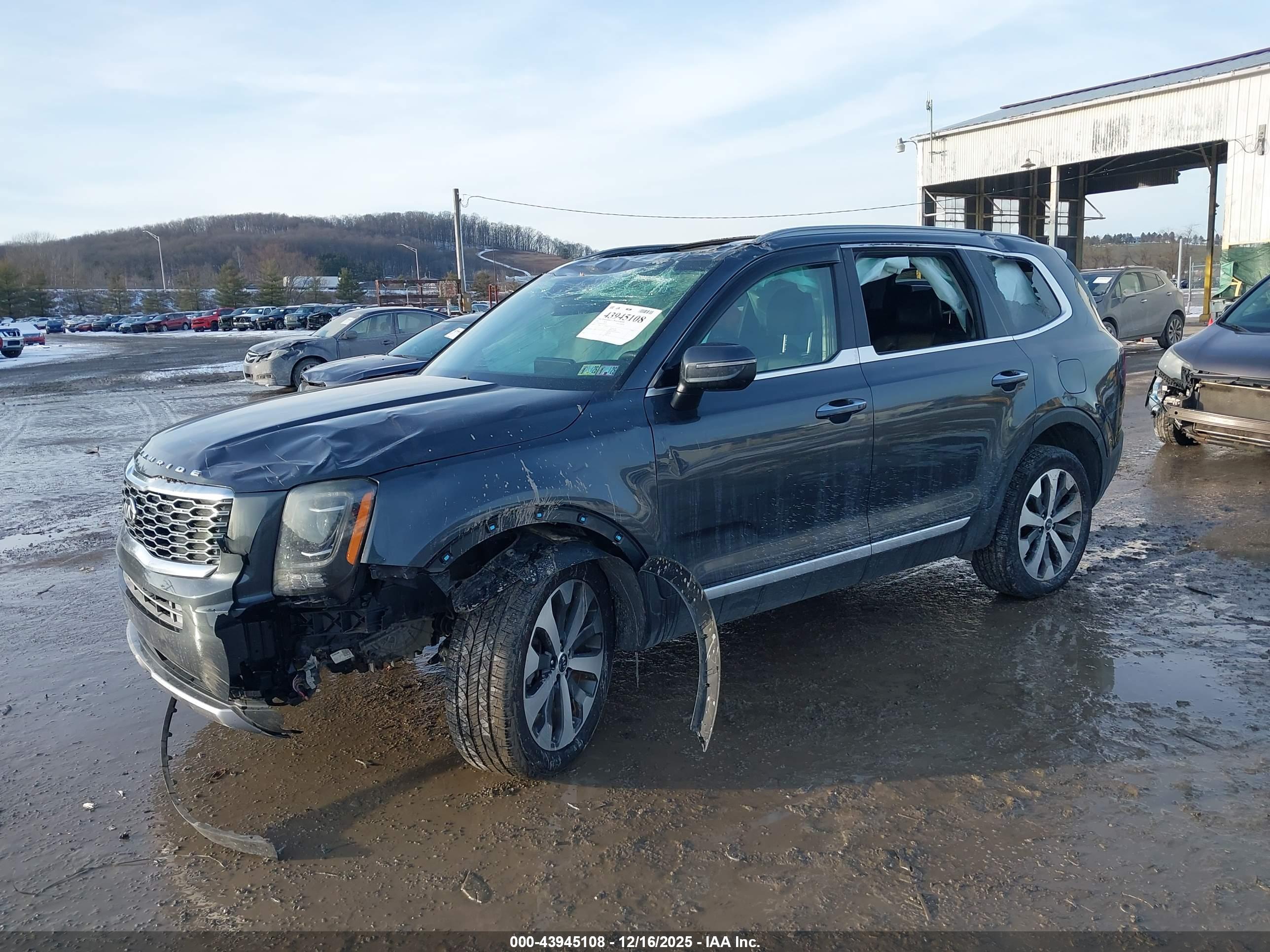 KIA TELLURIDE image 2