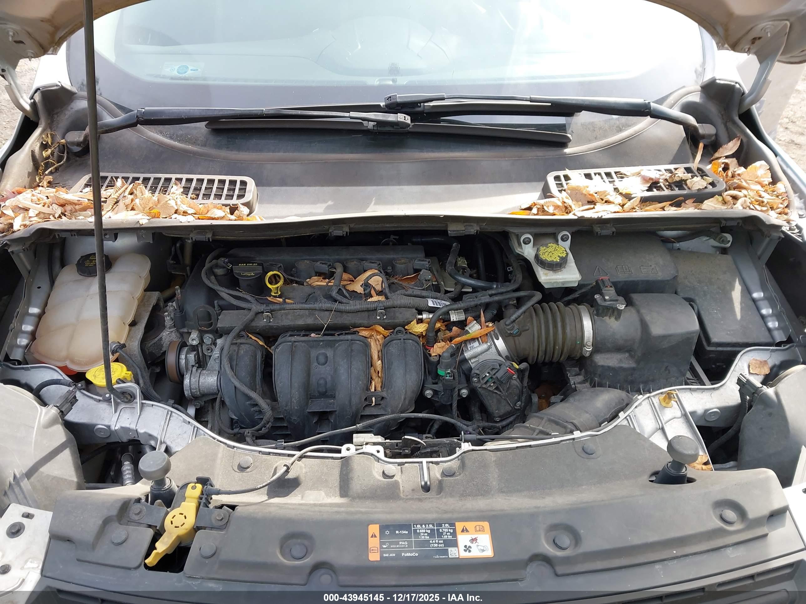 FORD ESCAPE image 10