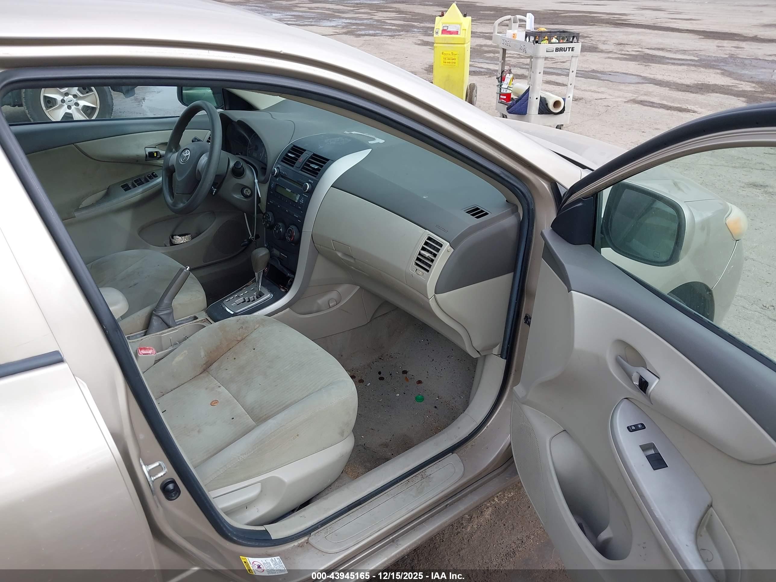 TOYOTA COROLLA image 5