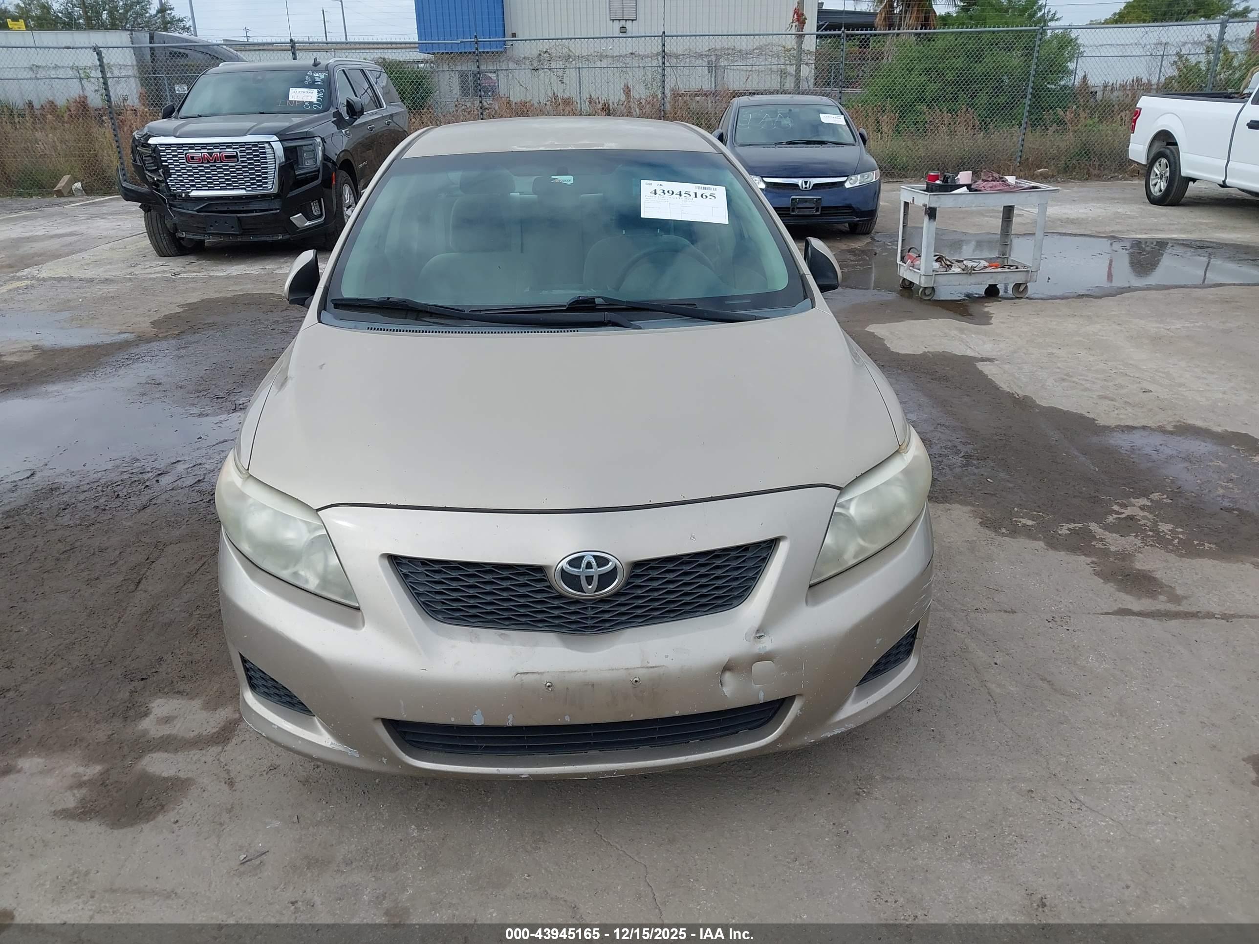 TOYOTA COROLLA image 6
