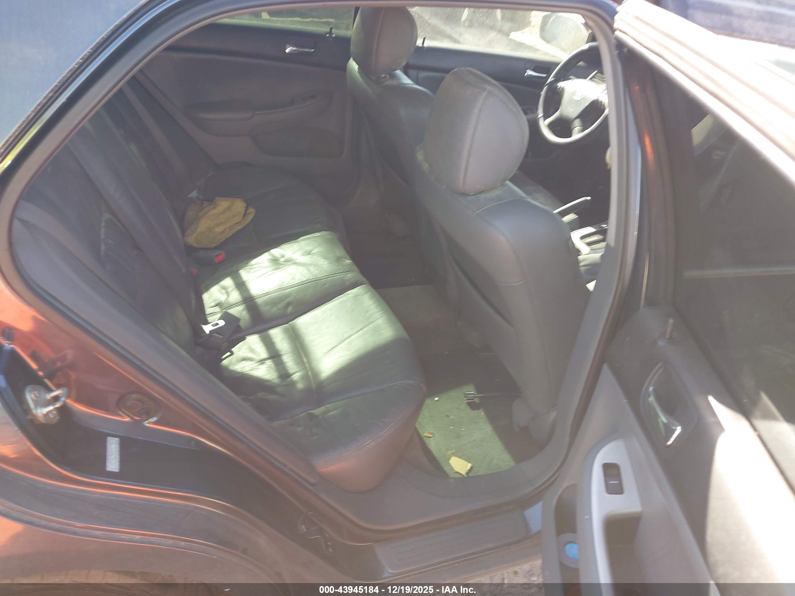 HONDA ACCORD image 8