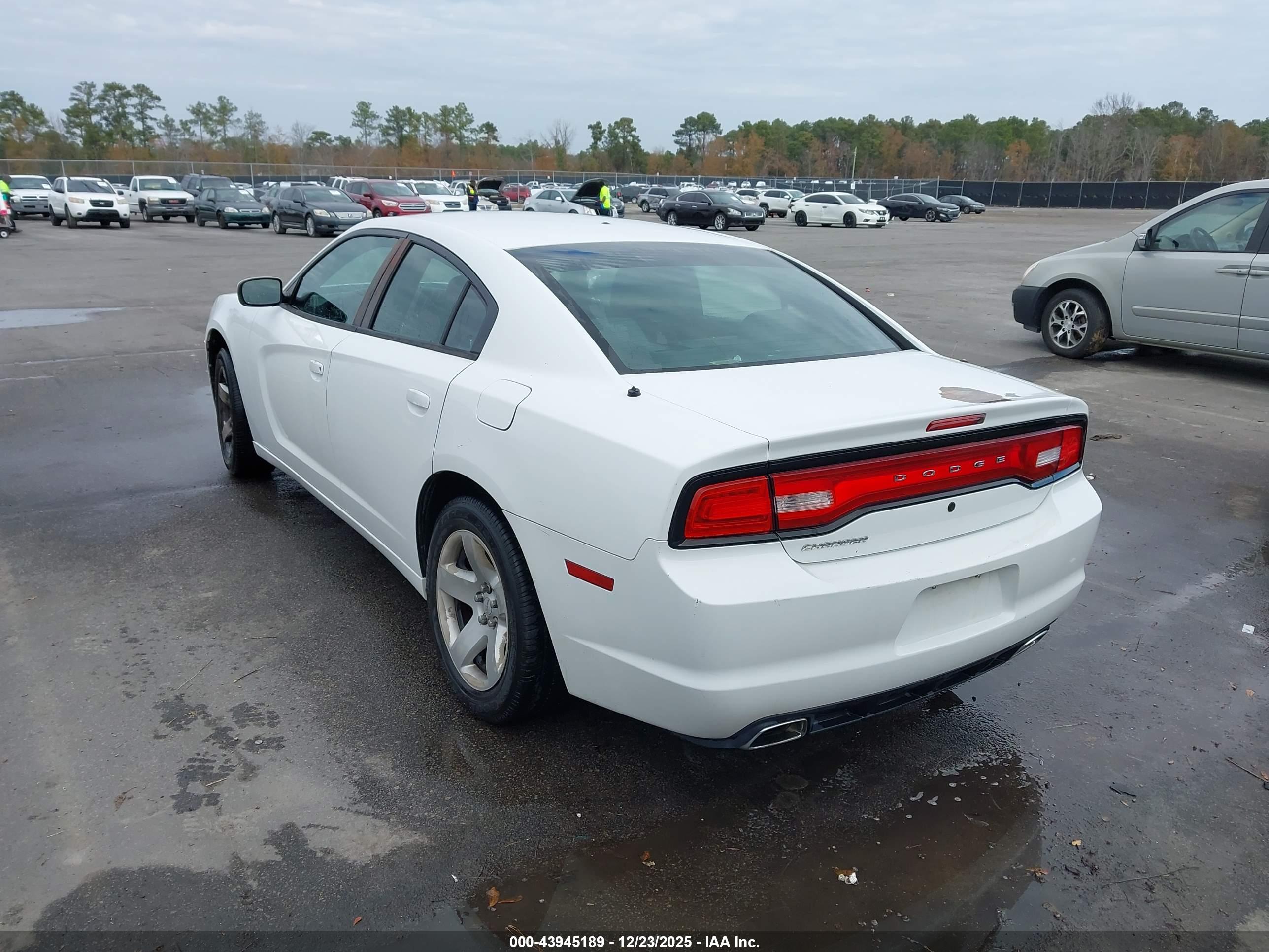 DODGE CHARGER image 3