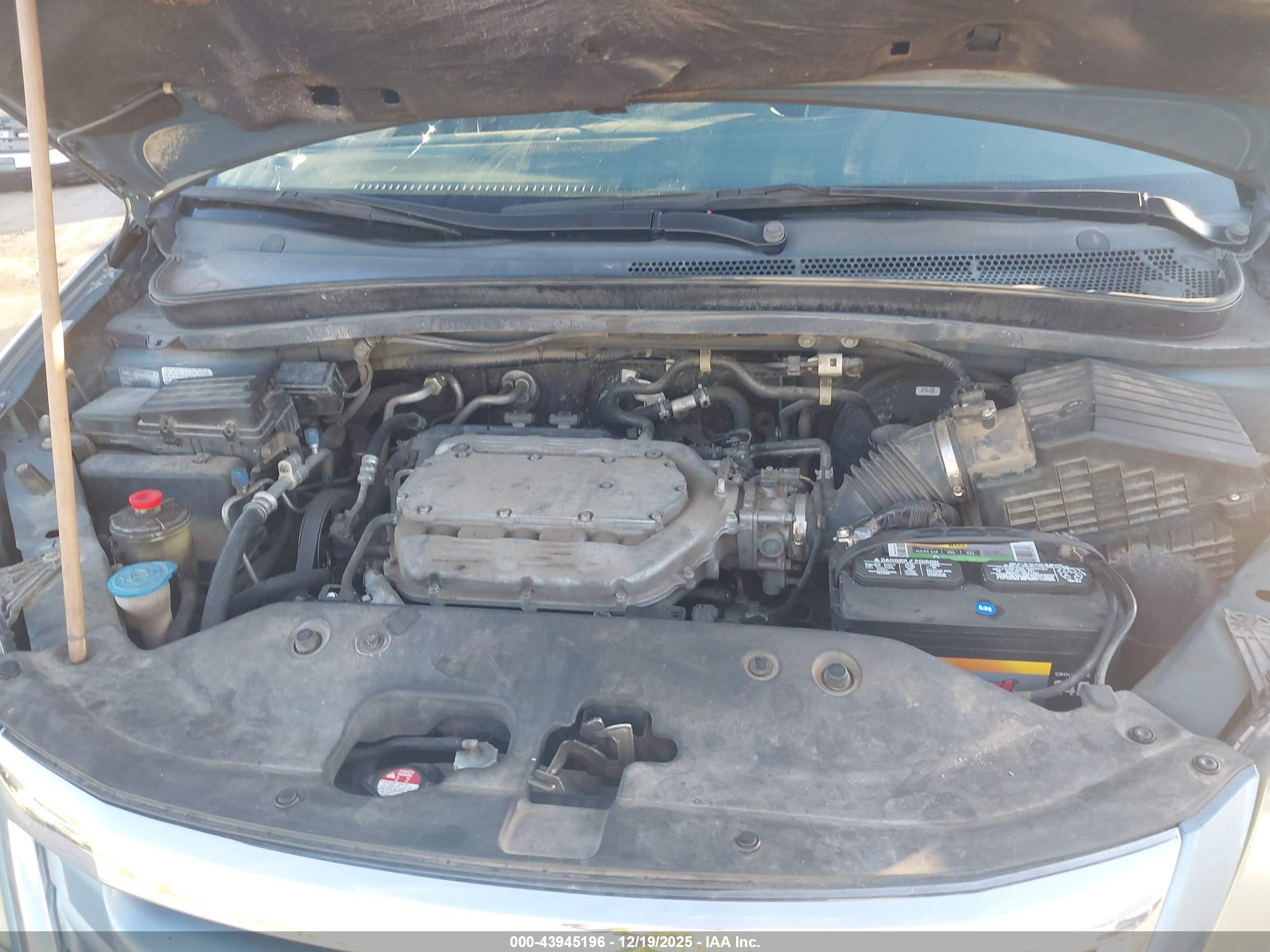 HONDA ODYSSEY image 10