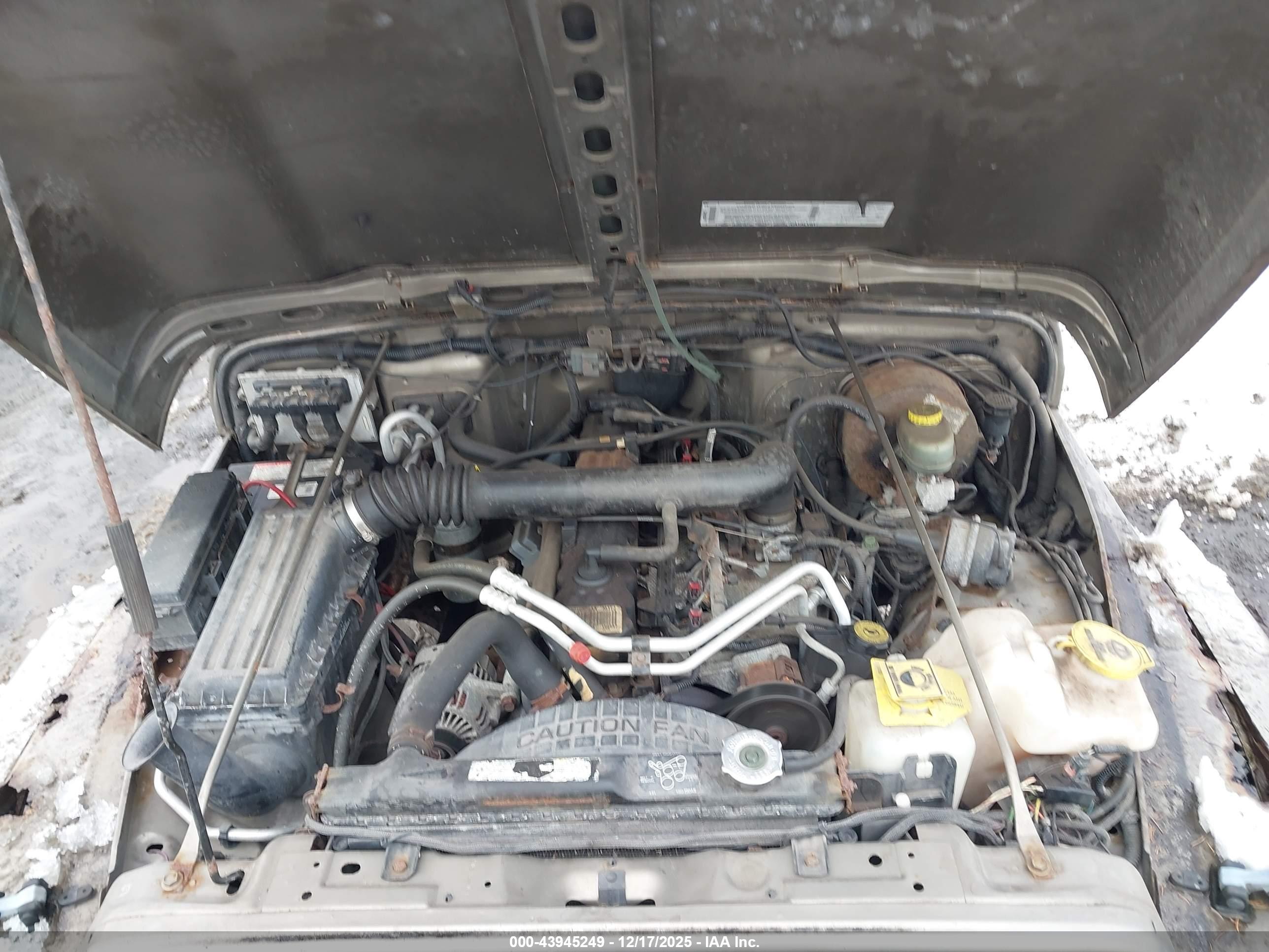 JEEP WRANGLER image 10