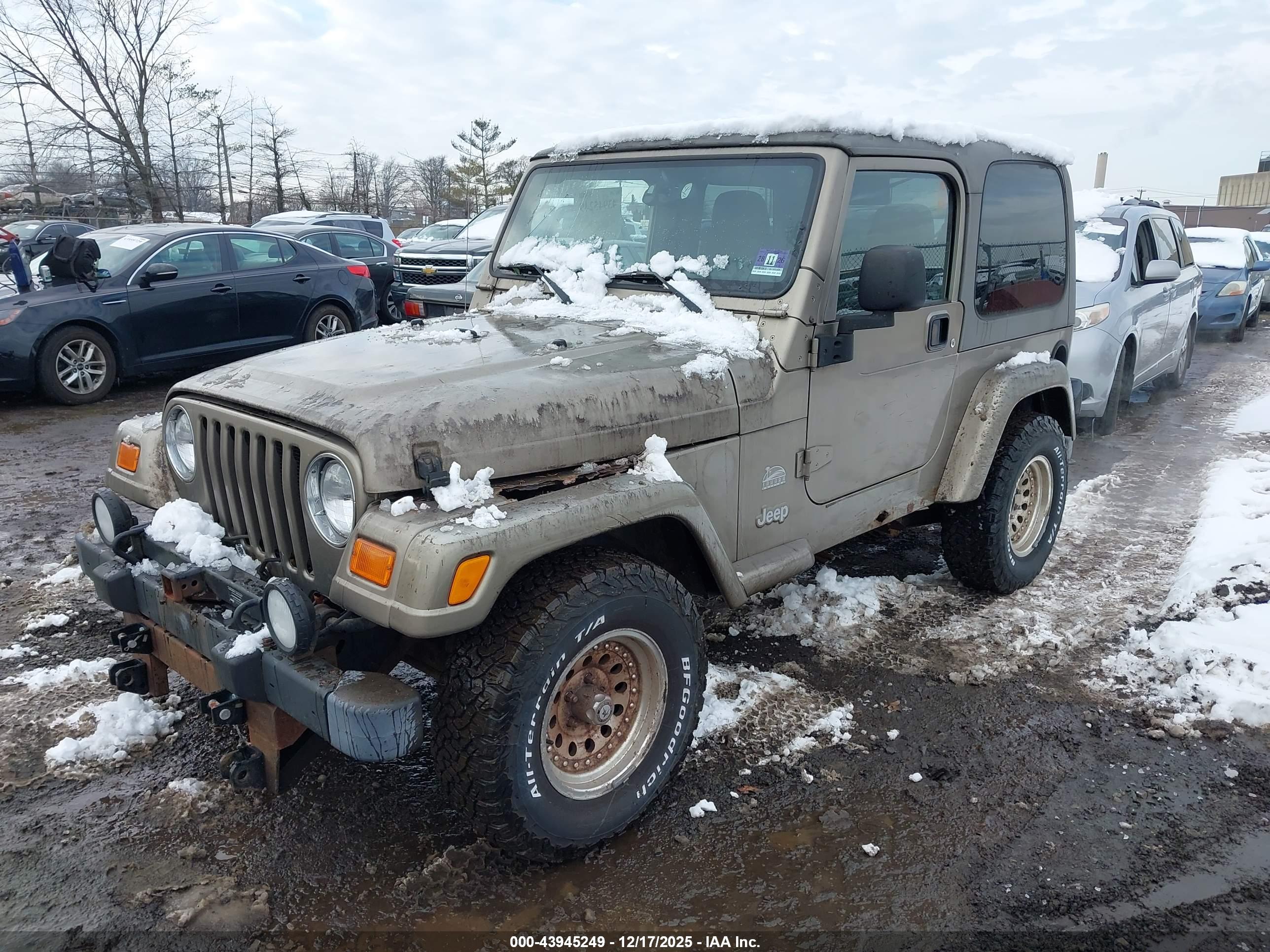 JEEP WRANGLER image 2