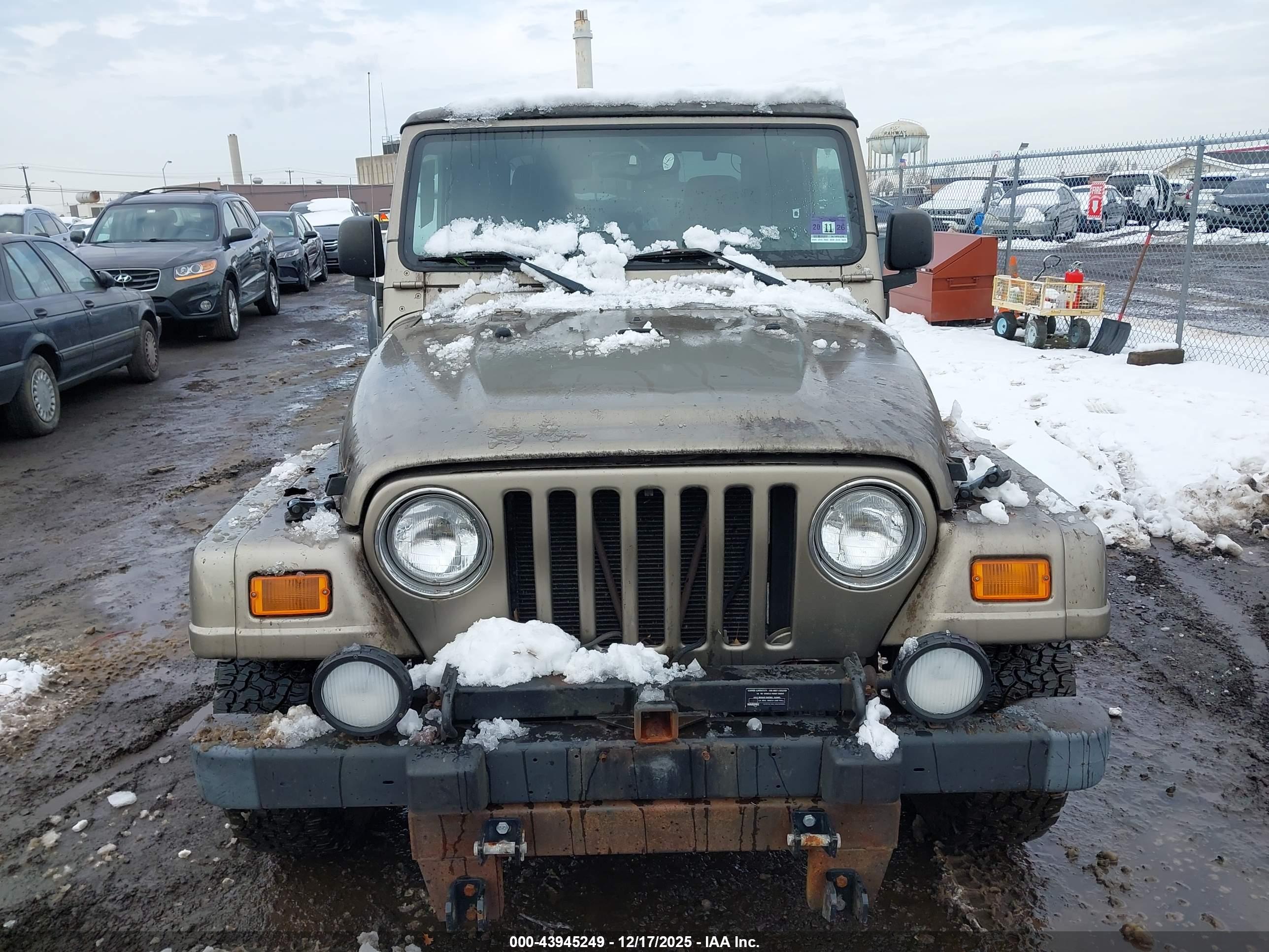 JEEP WRANGLER image 6