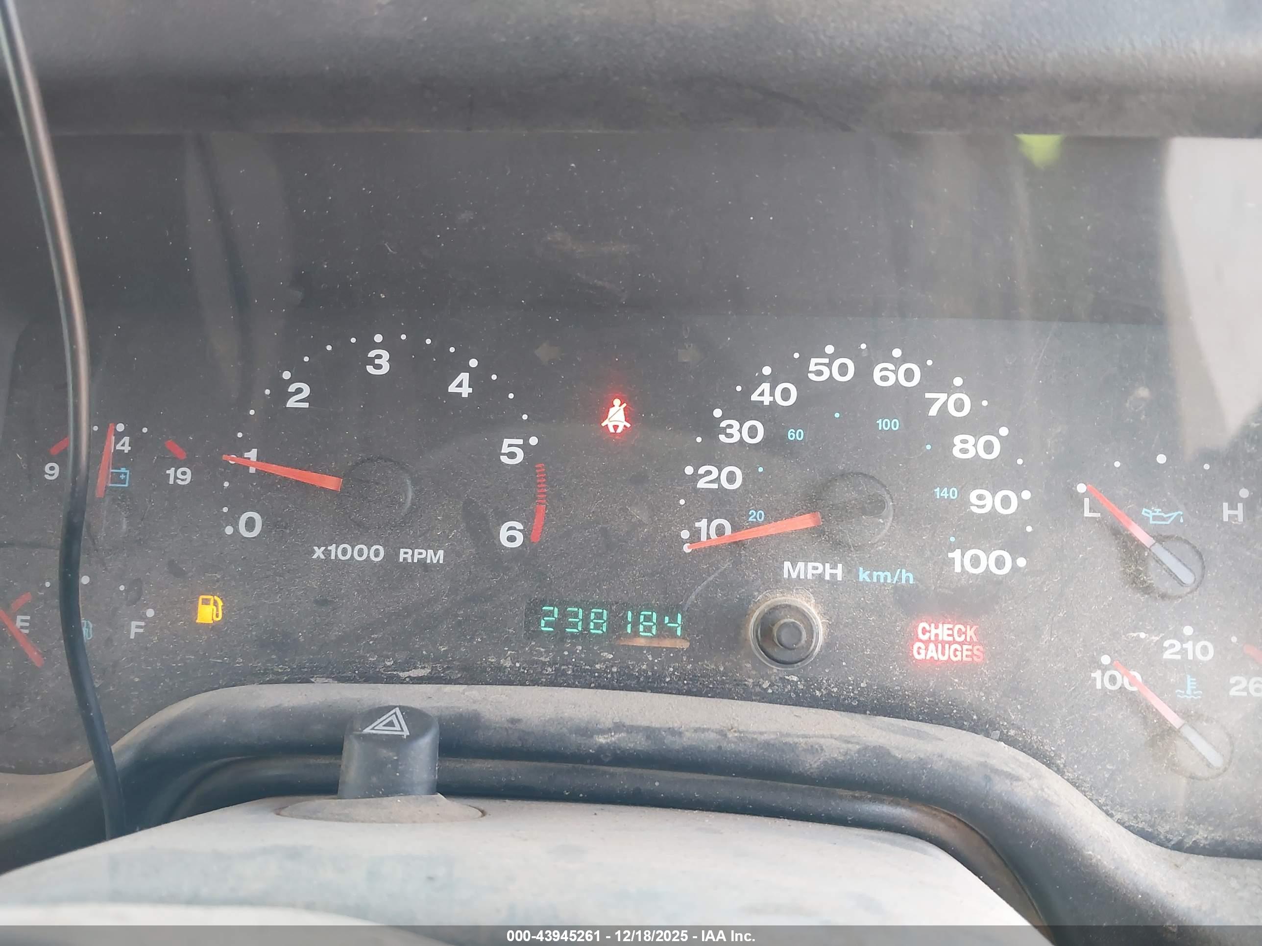 JEEP WRANGLER image 7