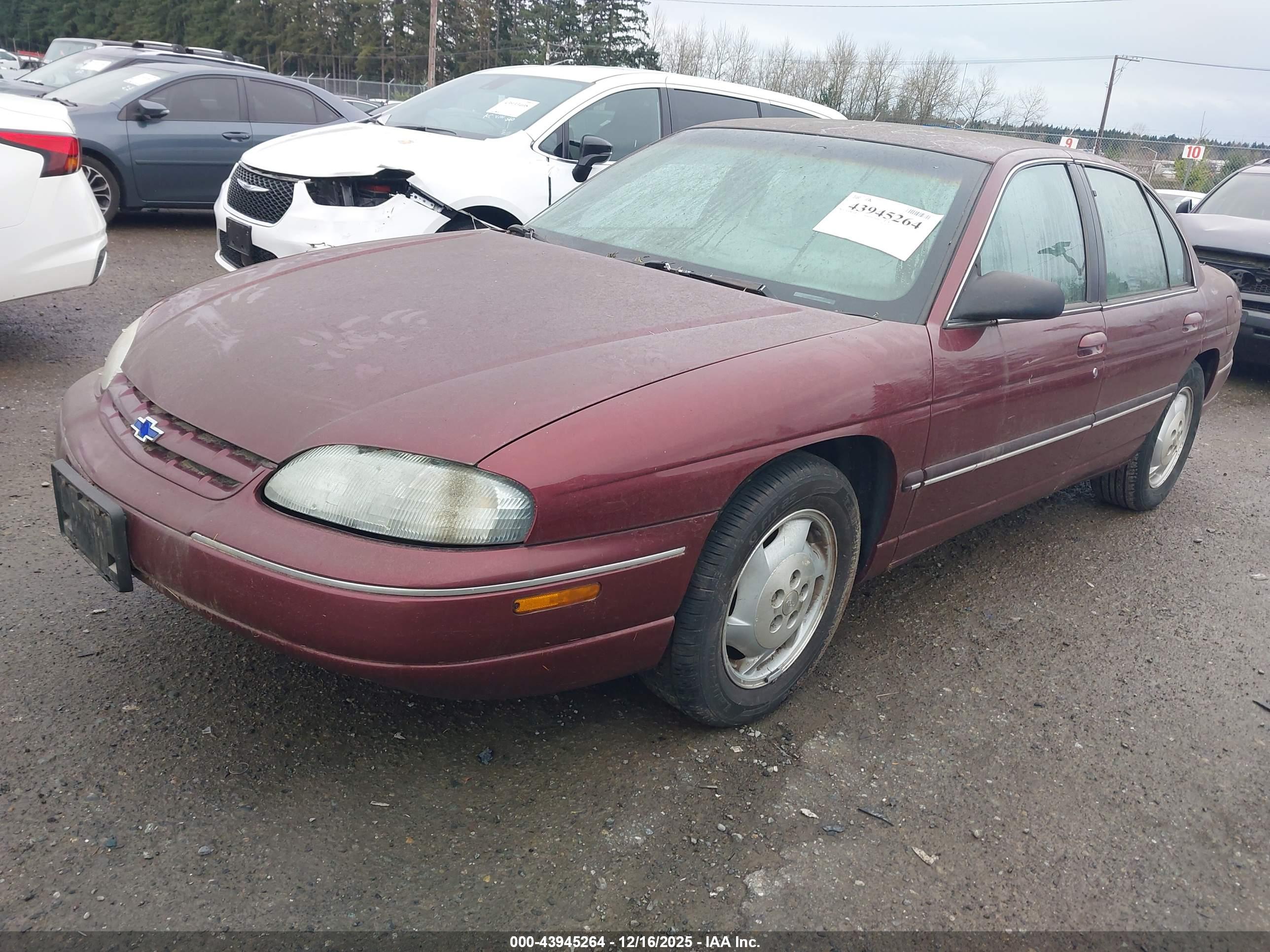 CHEVROLET LUMINA image 2