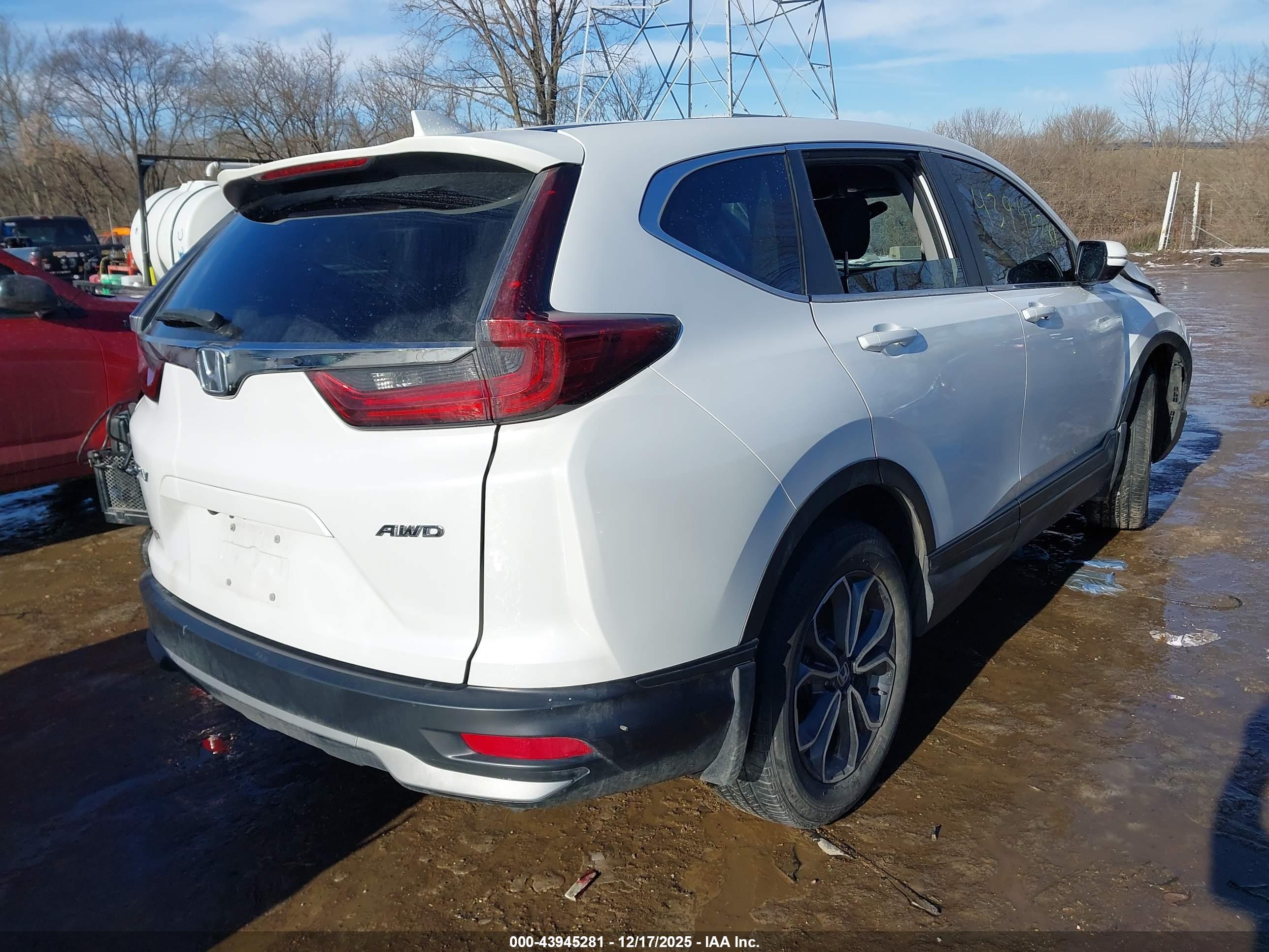 HONDA CR-V image 4